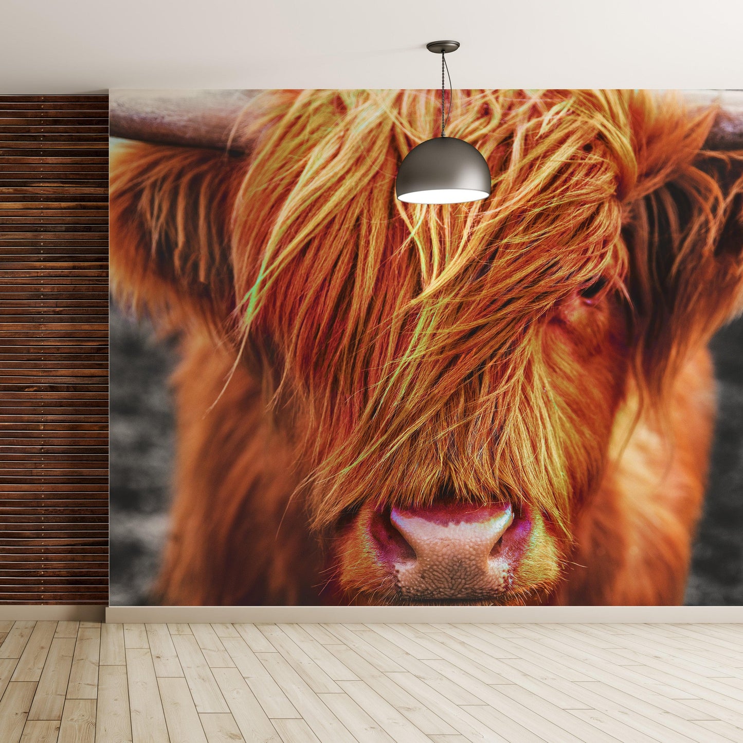 Highland Cow Cattle Head Wall Mural - Farmhouse Charm for Your Home. #6279