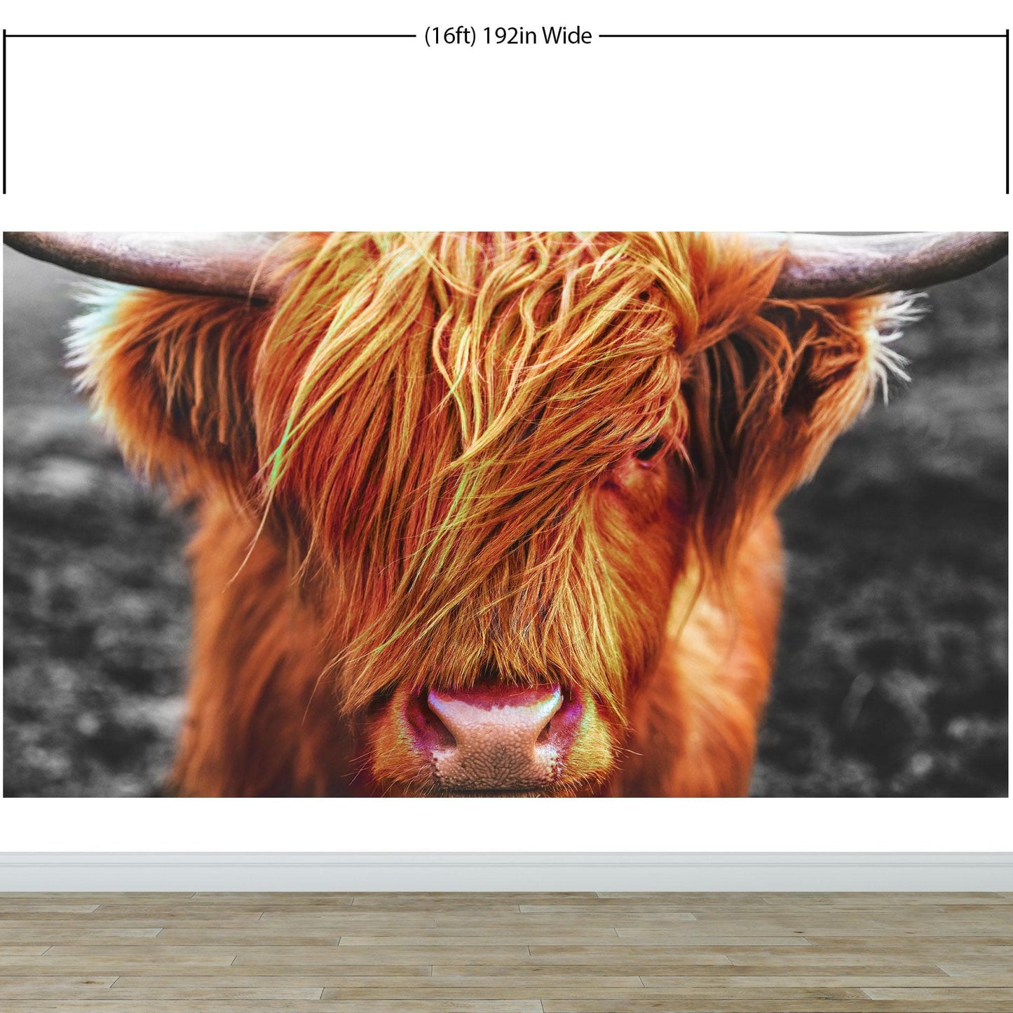 Highland Cow Cattle Head Wall Mural - Farmhouse Charm for Your Home. #6279