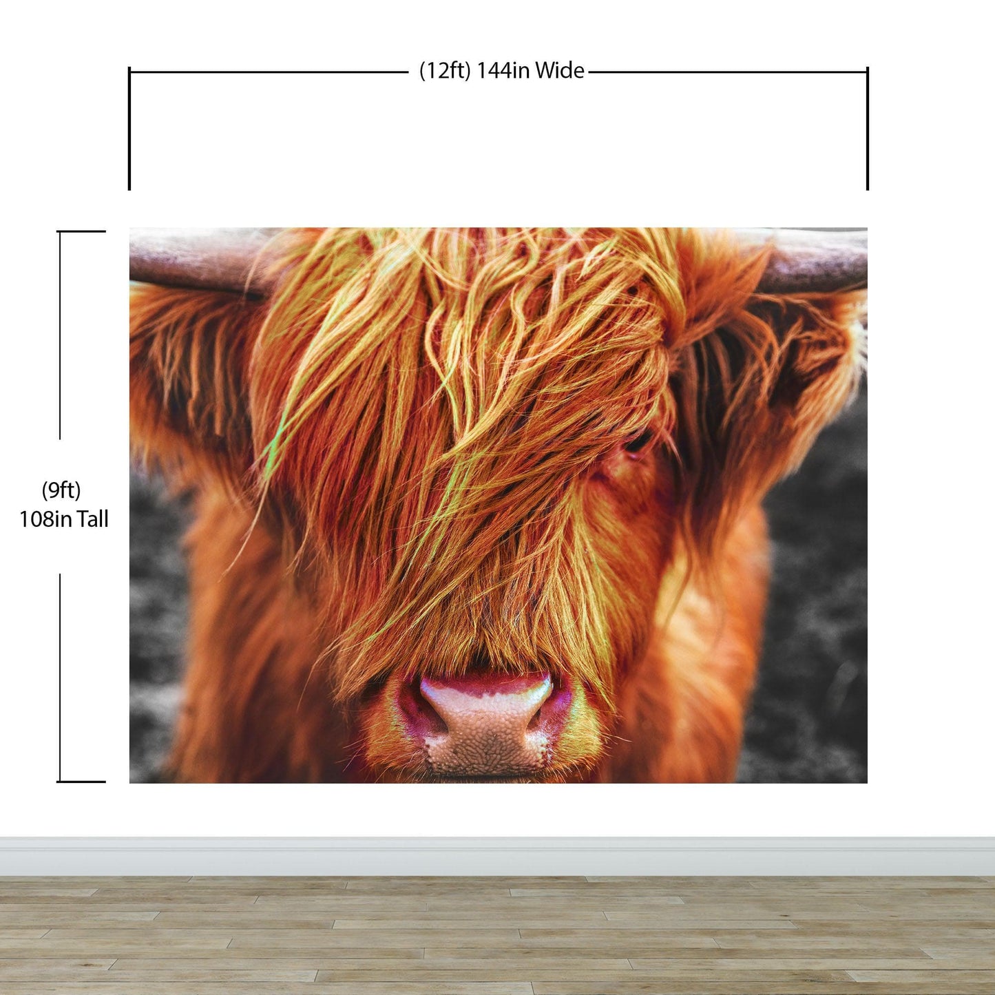 Highland Cow Cattle Head Wall Mural - Farmhouse Charm for Your Home. #6279