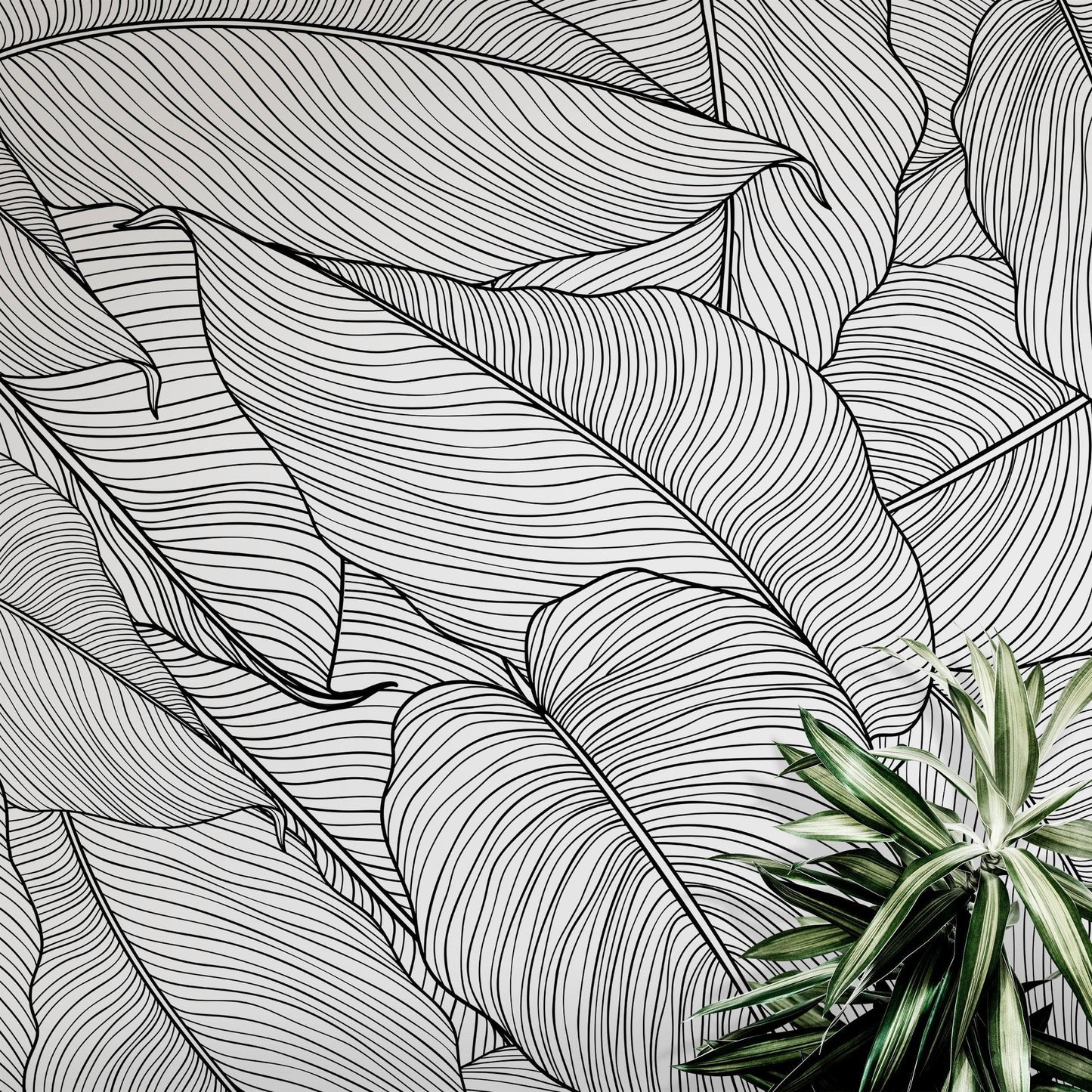 Banana Leaves Wallpaper, Palm Leaves Line Art Pattern Peel and Stick Wall Mural. #6330