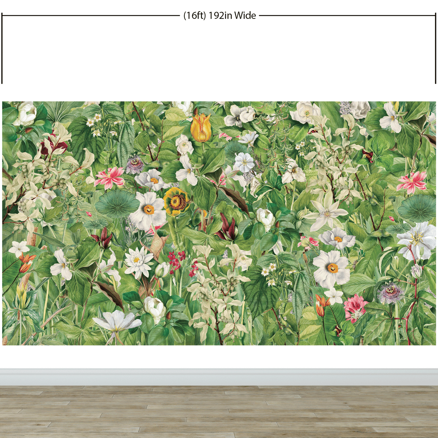 Botanical Vegetation Garden Wall Mural. Color Pencil Artwork of Flower Garden Peel and Stick Wallpaper. Rainforest Jungle Botanical Flowers and Leafs Background. #6449