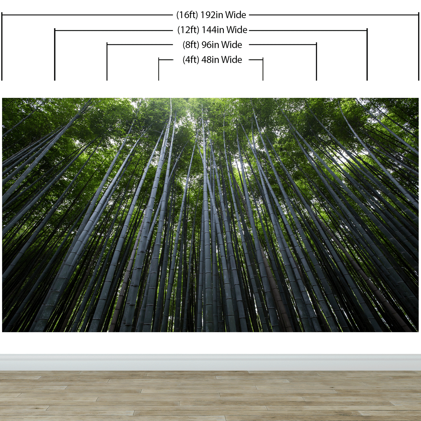 Tall Bamboo Tree Forest Wall Mural. Peaceful, Serenity, Zen Background Wallpaper. #6463