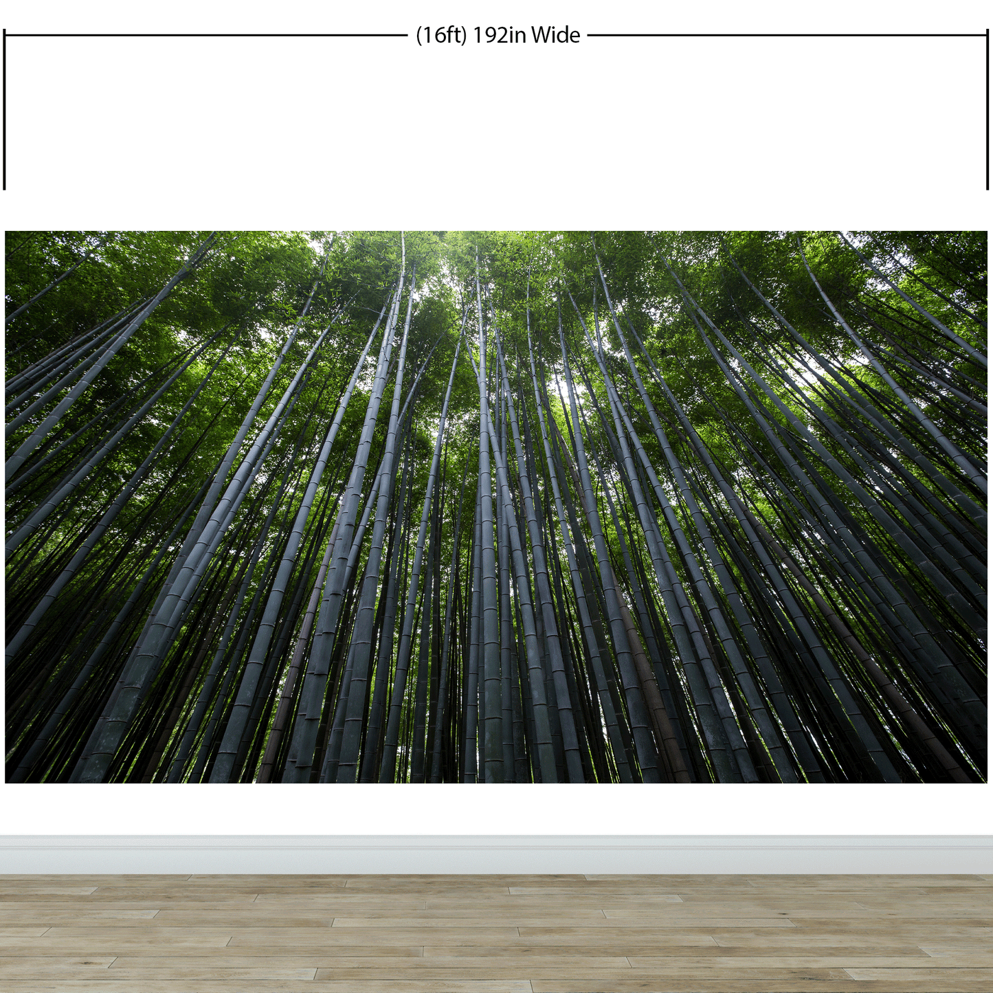 Tall Bamboo Tree Forest Wall Mural. Peaceful, Serenity, Zen Background Wallpaper. #6463