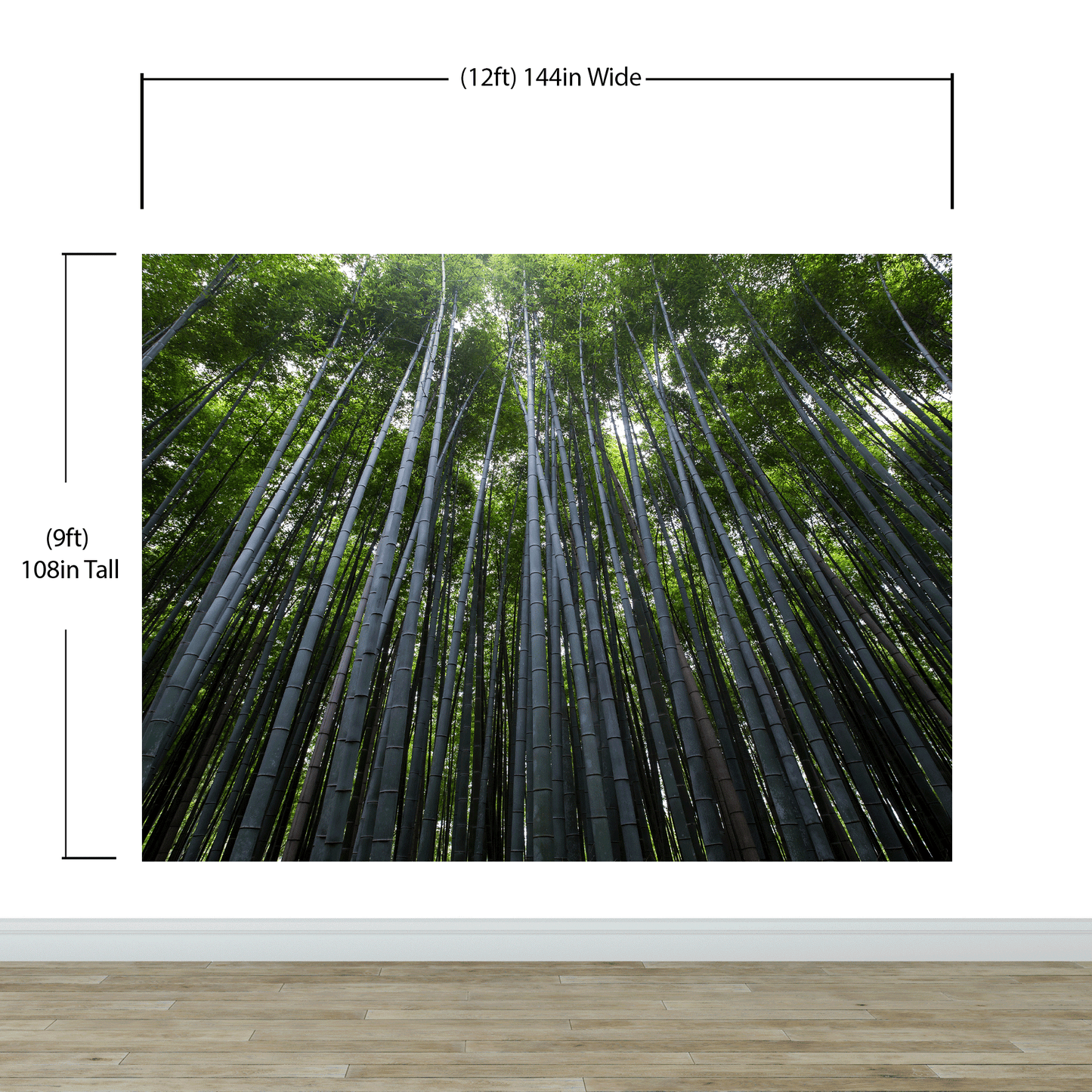 Tall Bamboo Tree Forest Wall Mural. Peaceful, Serenity, Zen Background Wallpaper. #6463