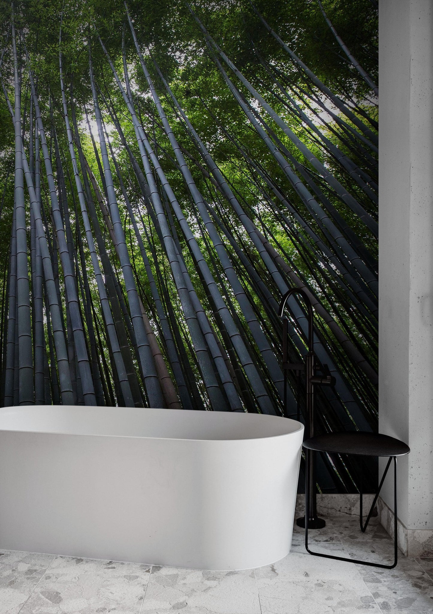 Tall Bamboo Tree Forest Wall Mural. Peaceful, Serenity, Zen Background Wallpaper. #6463