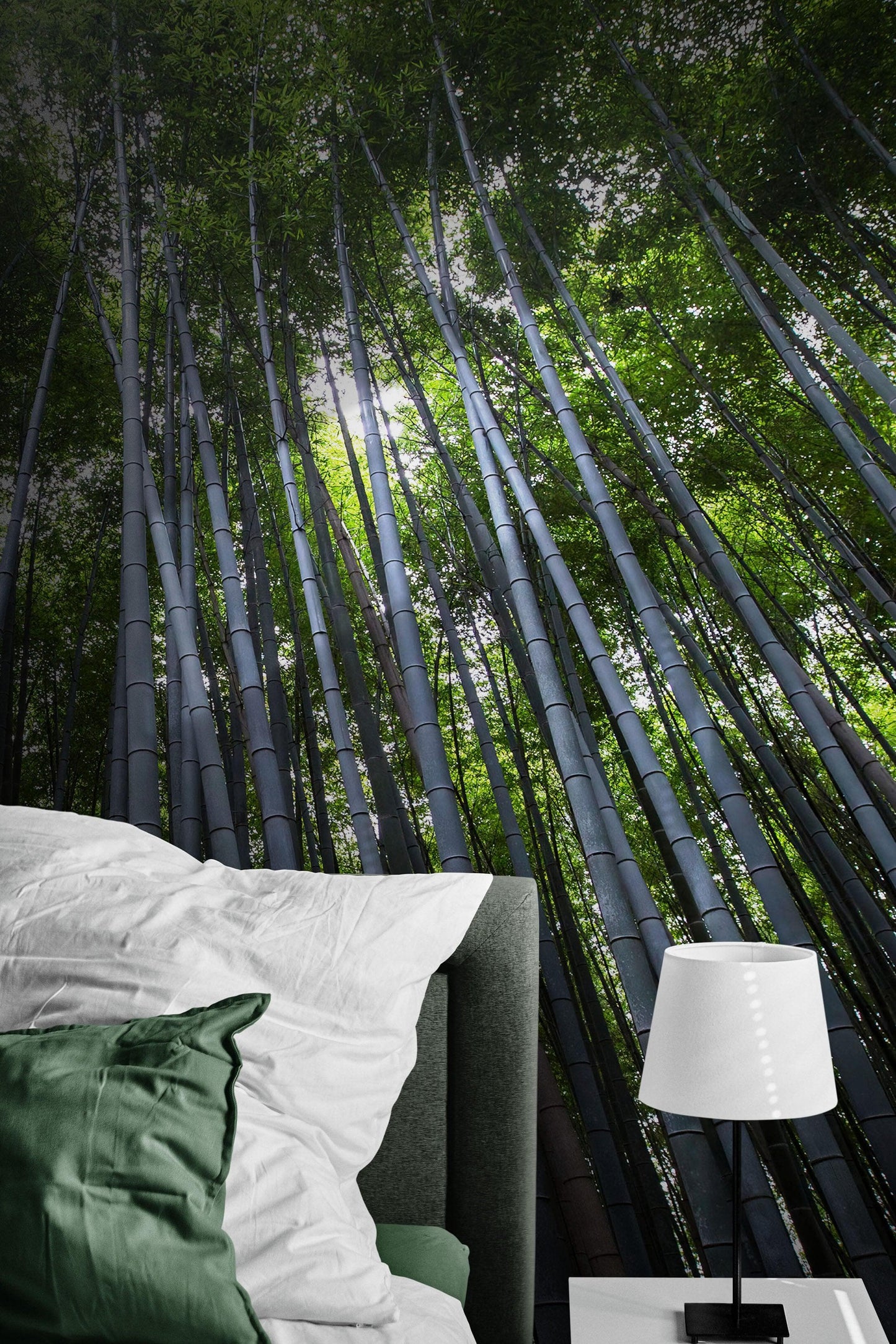 Tall Bamboo Tree Forest Wall Mural. Peaceful, Serenity, Zen Background Wallpaper. #6463