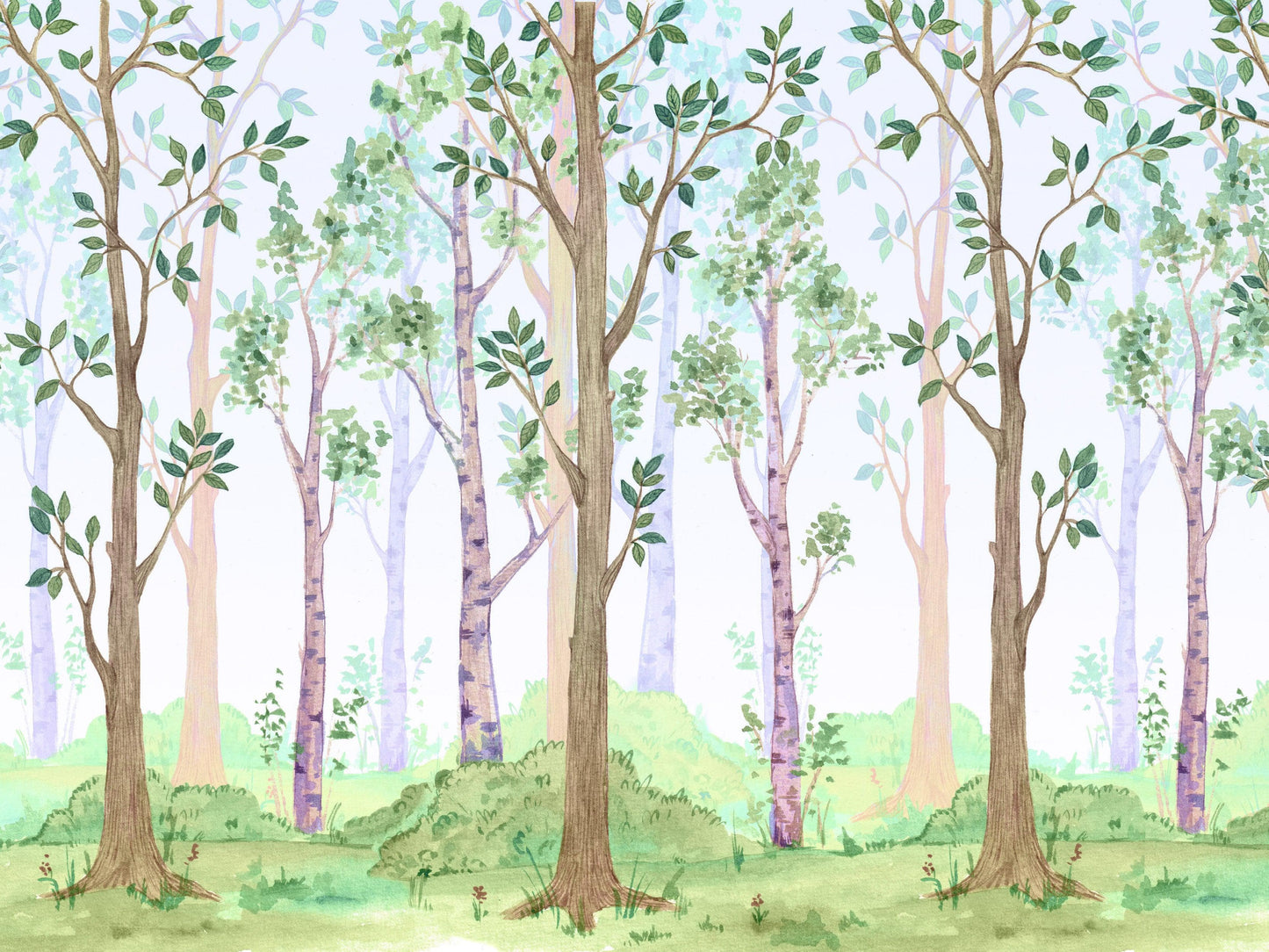 Colorful Nursery Woodland Forest Wallpaper. Watercolor Birch Tree Forest Wall Mural. #6527