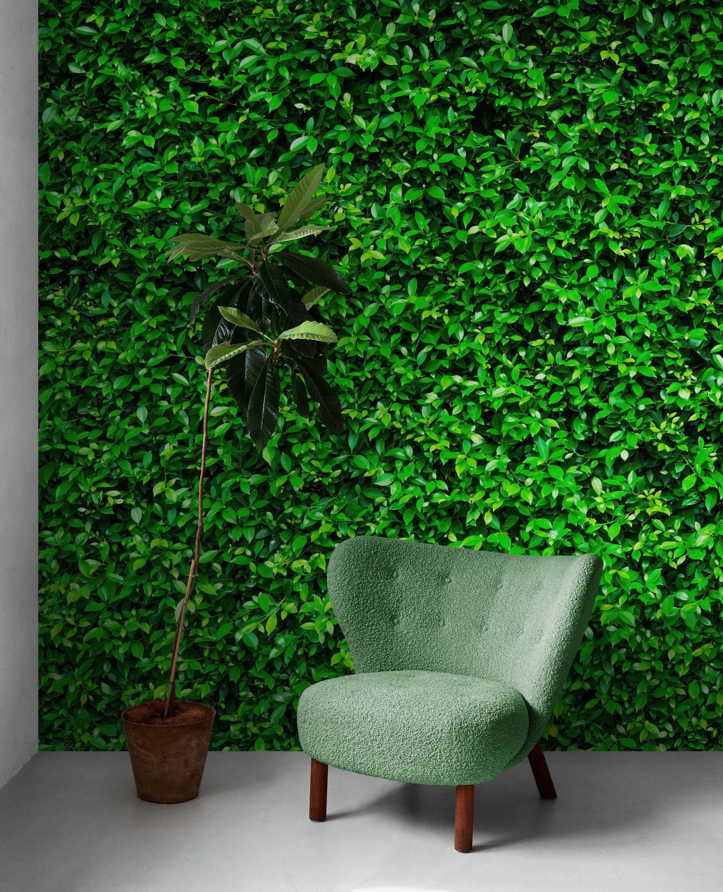 Greenery Grass Background Wallpaper Mural. #6551