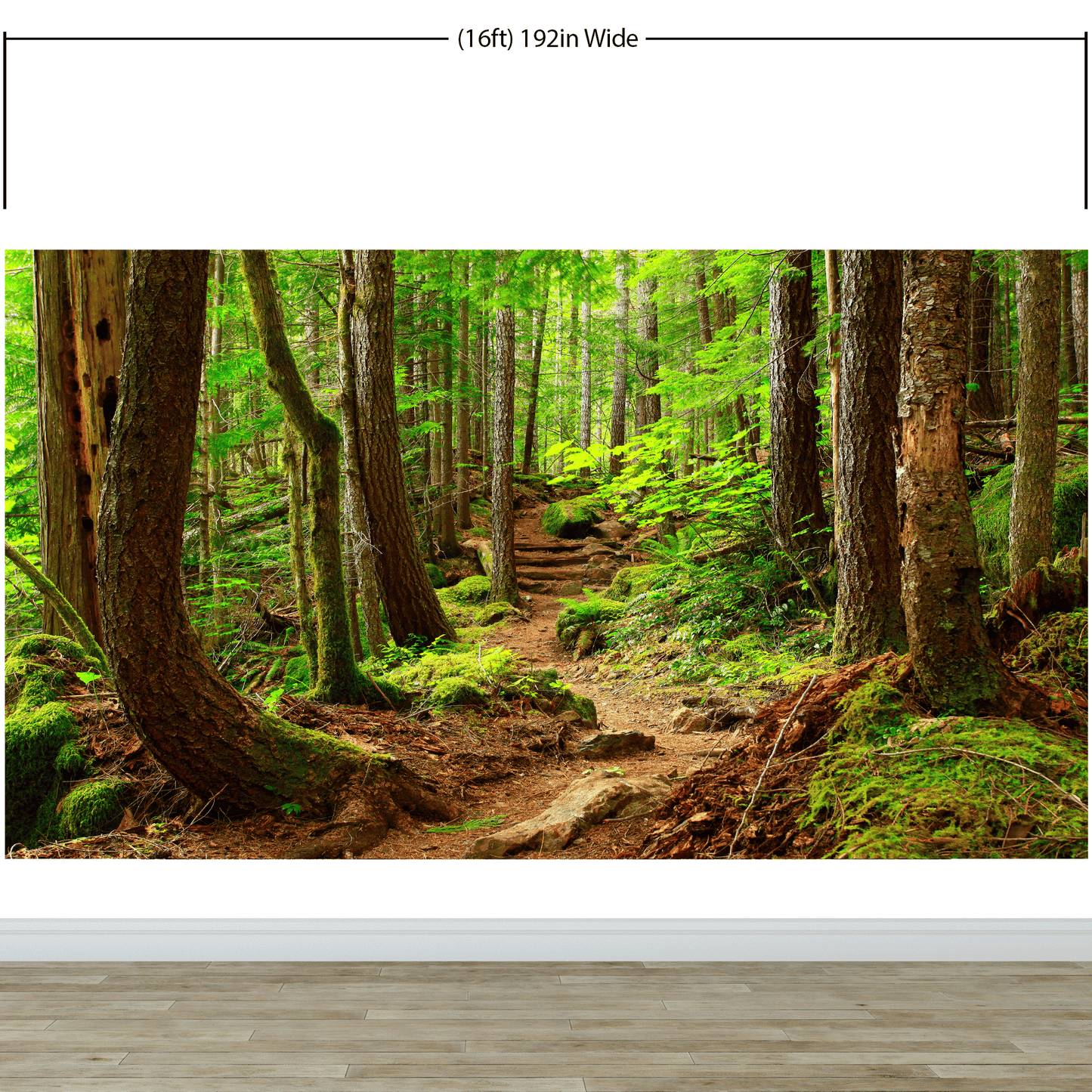 Green Forest Woodland Wall Mural – Nature's Embrace Peel and Stick Wallpaper #6647