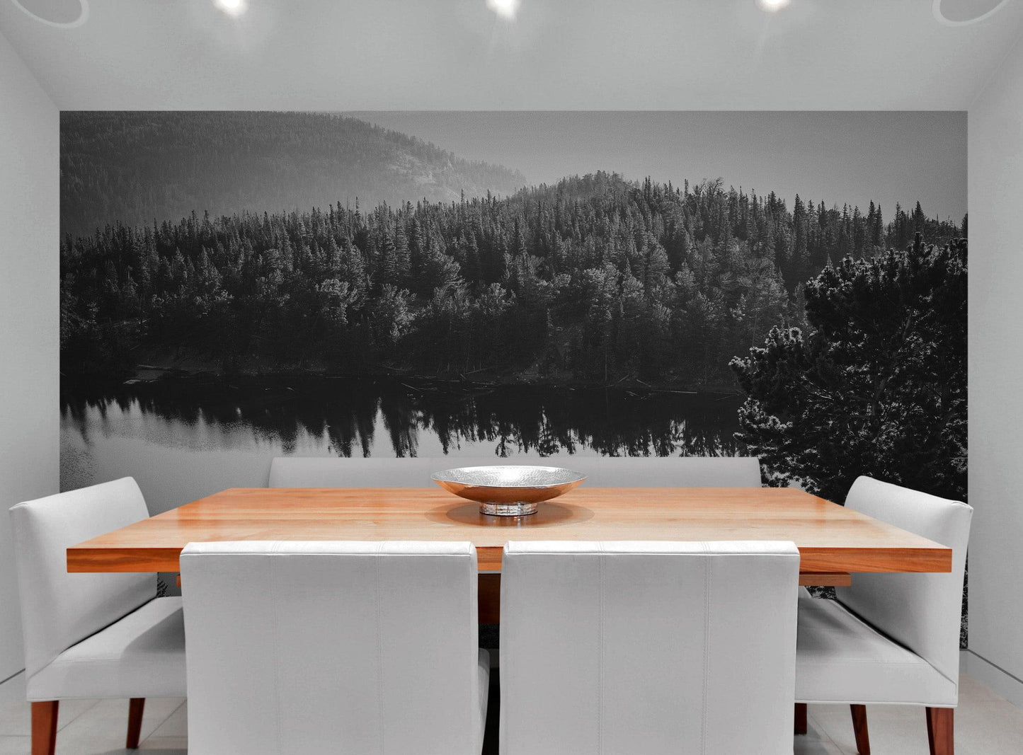 Black and White Mountain Over Looking Lake and Forest Wallpaper. #6671