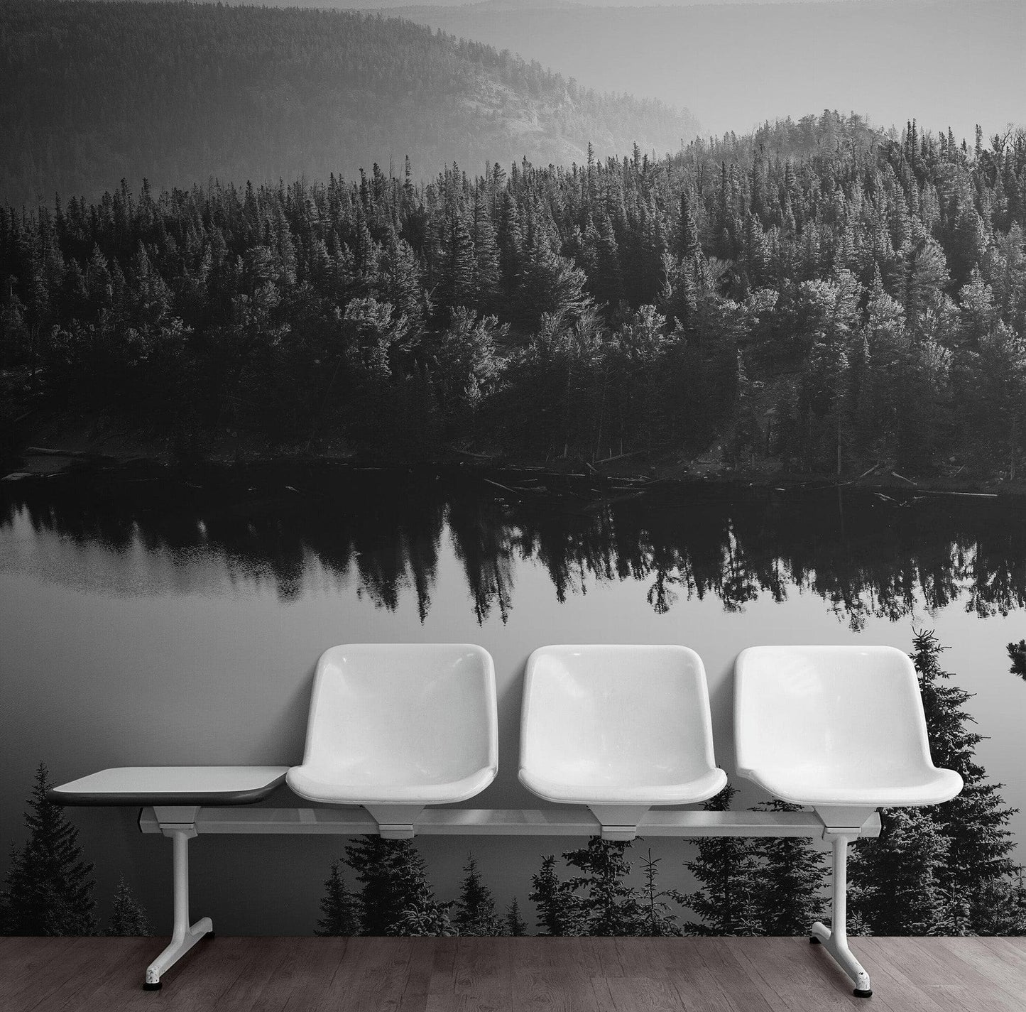 Black and White Mountain Over Looking Lake and Forest Wallpaper. #6671