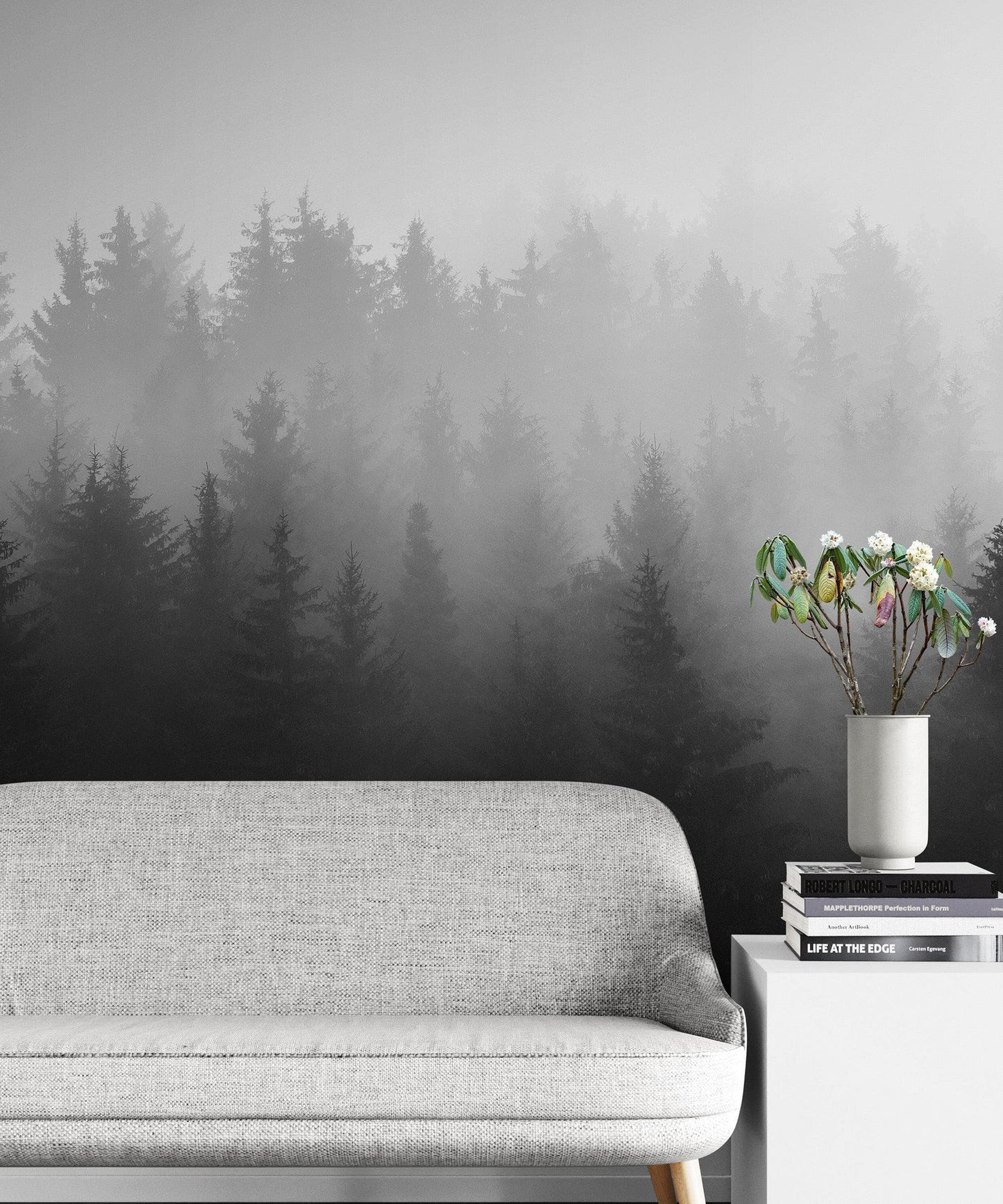 Black and White Misty Pine Forest Wallpaper. #6673