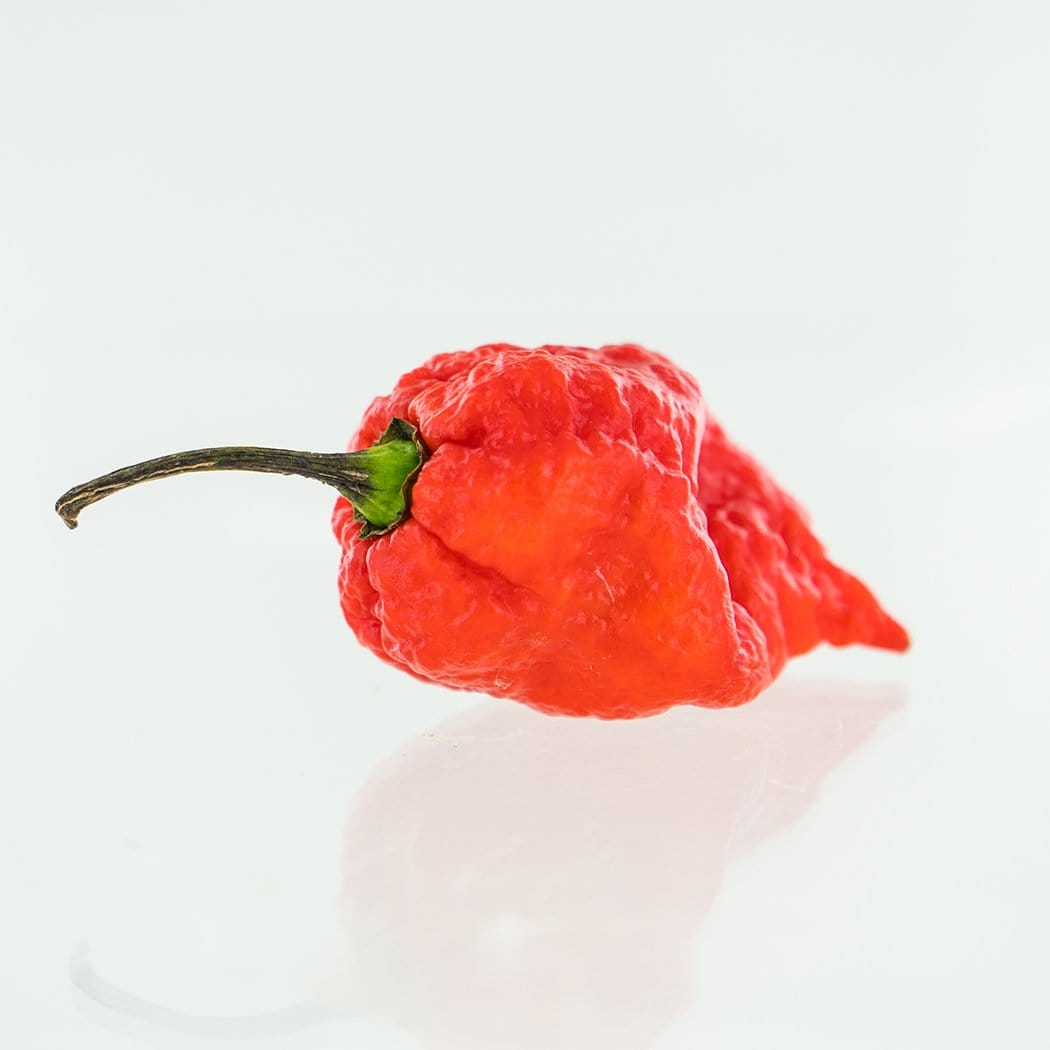 7 Pot Lava Red Pepper Seeds