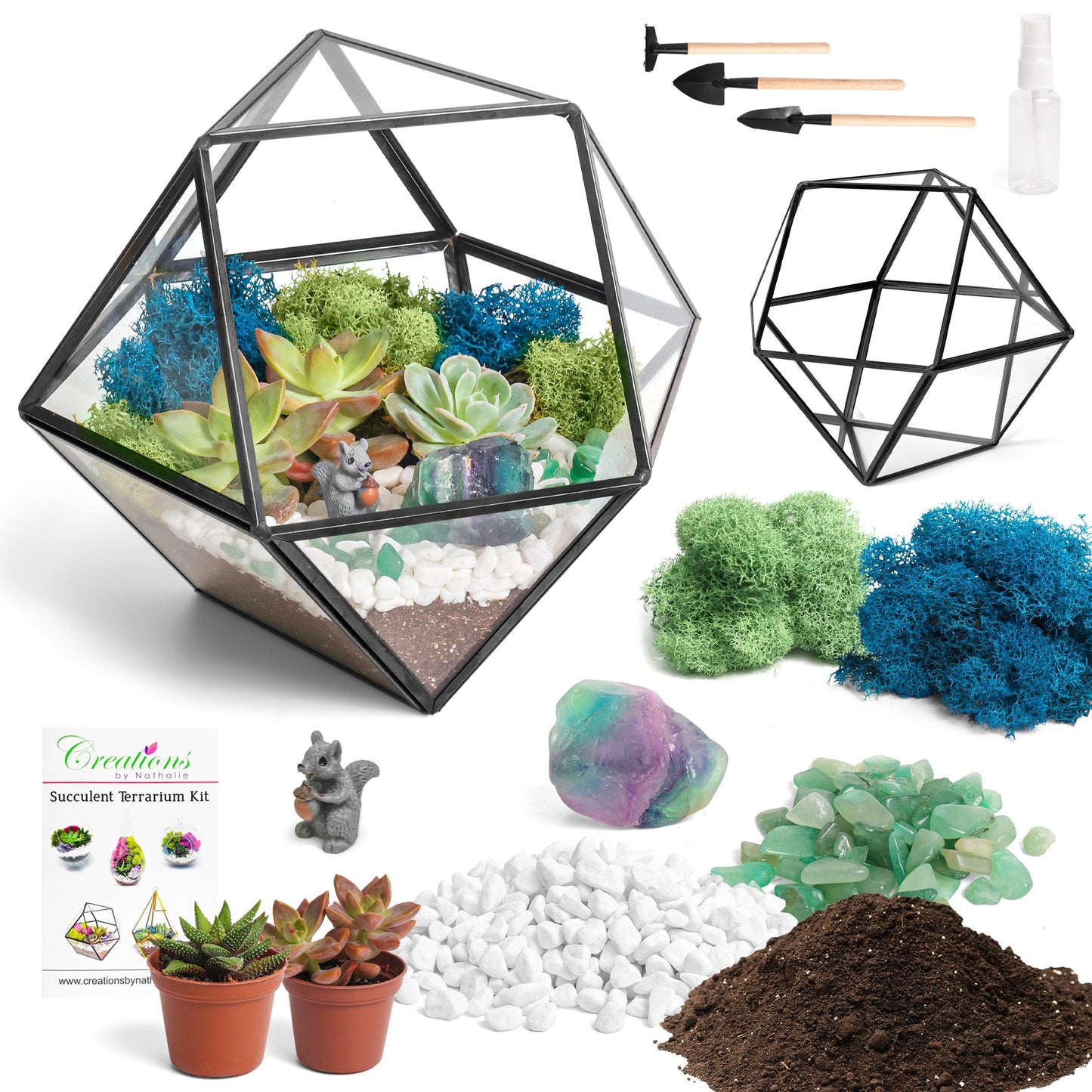 7” Geometric Black Glass Succulent Terrarium Kit