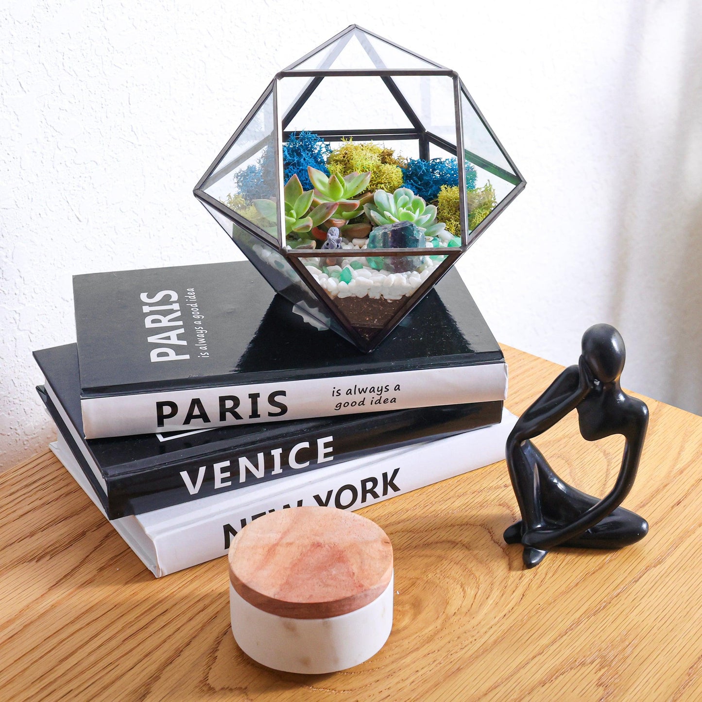 7” Geometric Black Glass Succulent Terrarium Kit