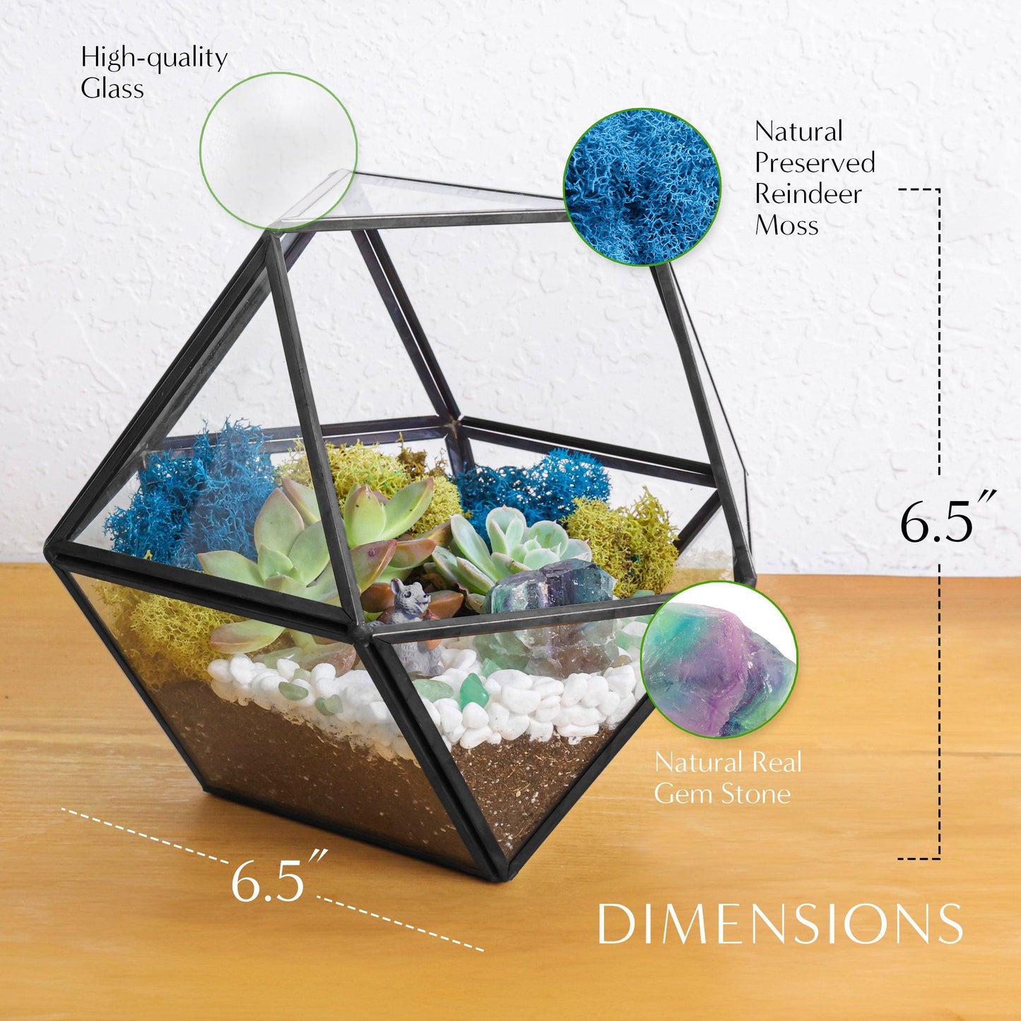 7” Geometric Black Glass Succulent Terrarium Kit