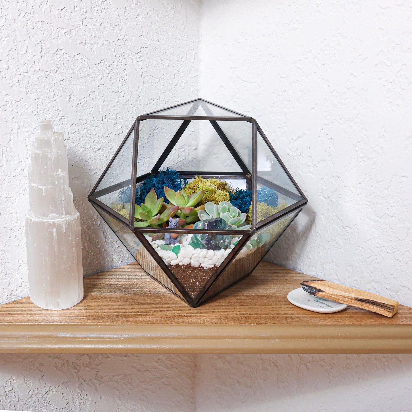 7” Geometric Black Glass Succulent Terrarium Kit