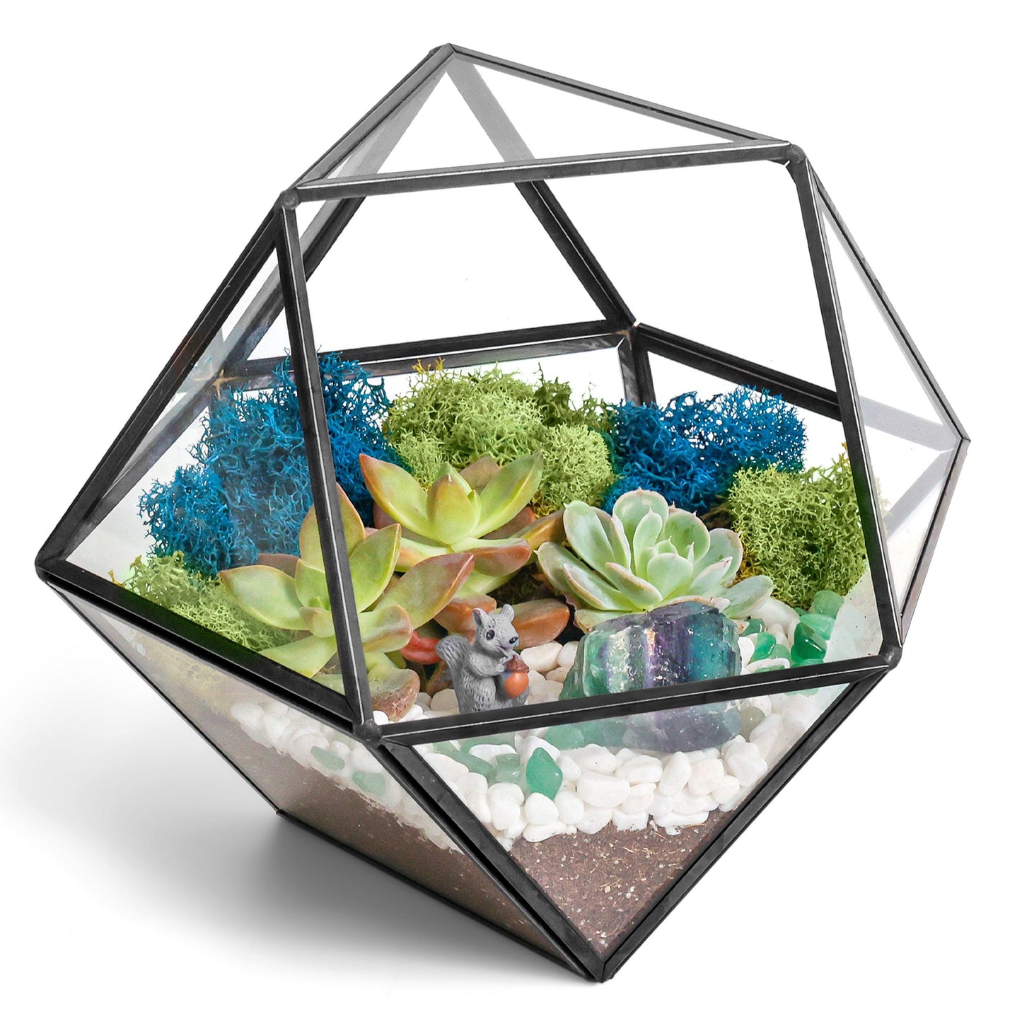 7” Geometric Black Glass Succulent Terrarium Kit