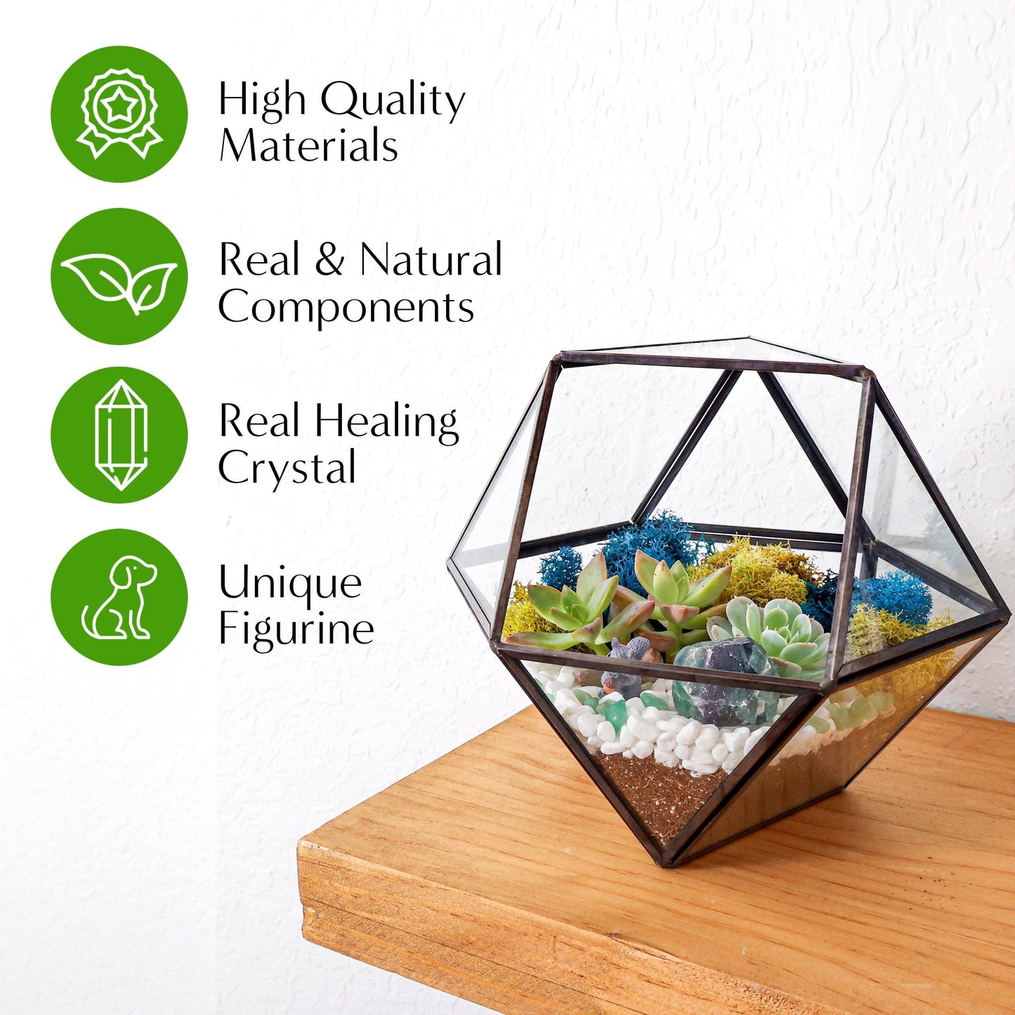 7” Geometric Black Glass Succulent Terrarium Kit