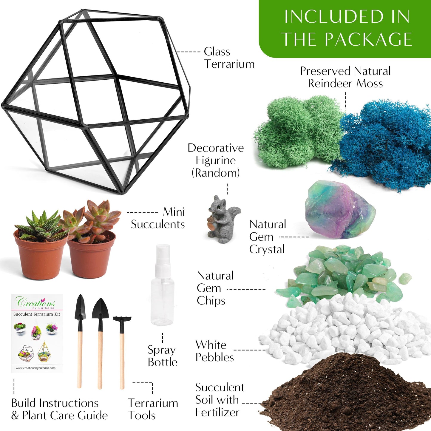 7” Geometric Black Glass Succulent Terrarium Kit