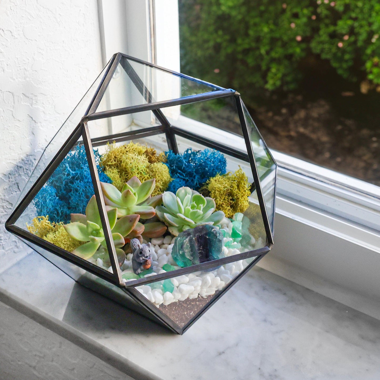 7” Geometric Black Glass Succulent Terrarium Kit