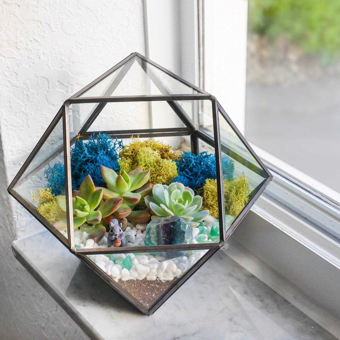 7” Geometric Black Glass Succulent Terrarium Kit