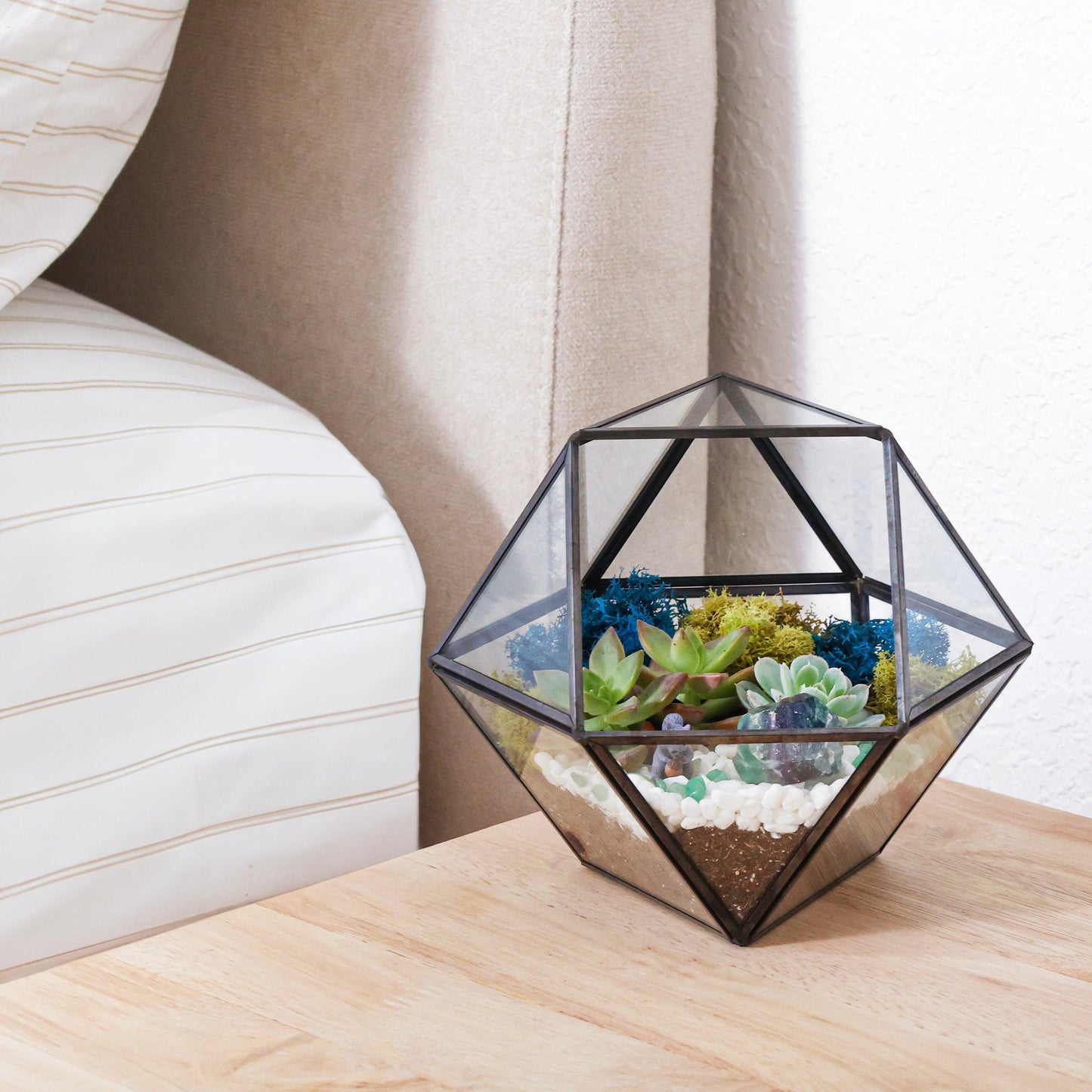 7” Geometric Black Glass Succulent Terrarium Kit