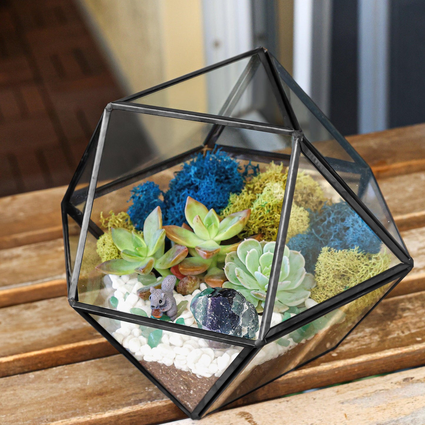 7” Geometric Black Glass Succulent Terrarium Kit