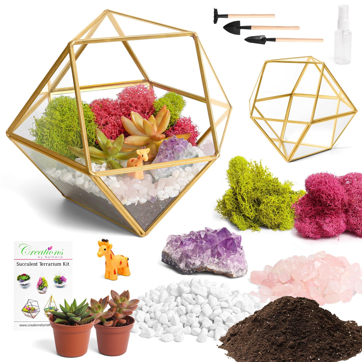 7” Geometric Gold Glass Succulent Terrarium Kit