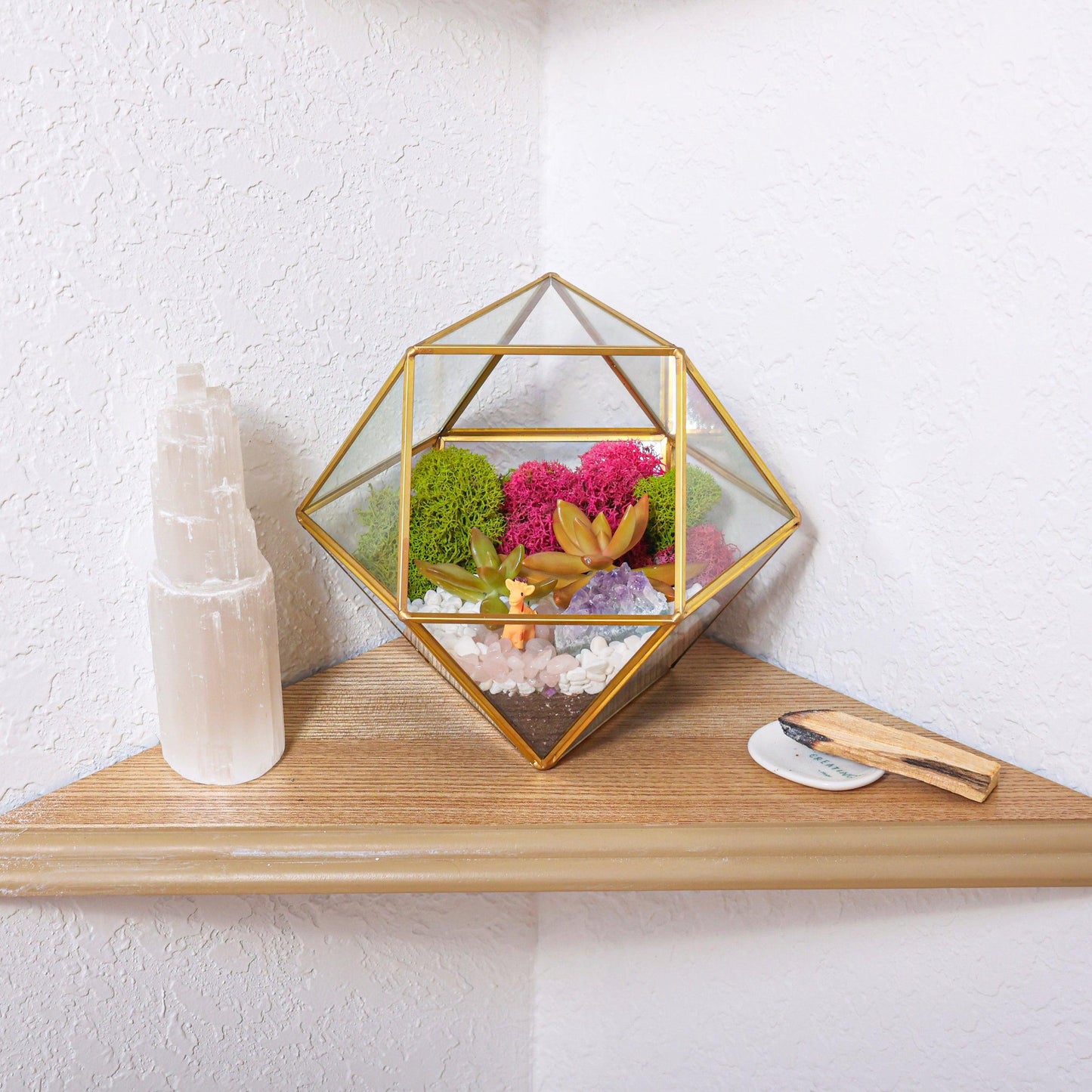 7” Geometric Gold Glass Succulent Terrarium Kit