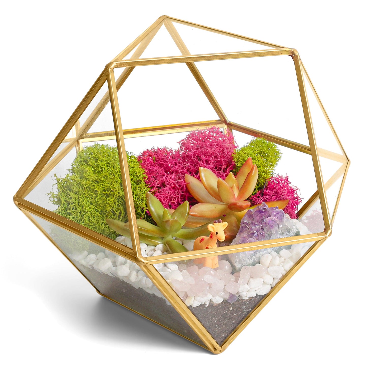 7” Geometric Gold Glass Succulent Terrarium Kit