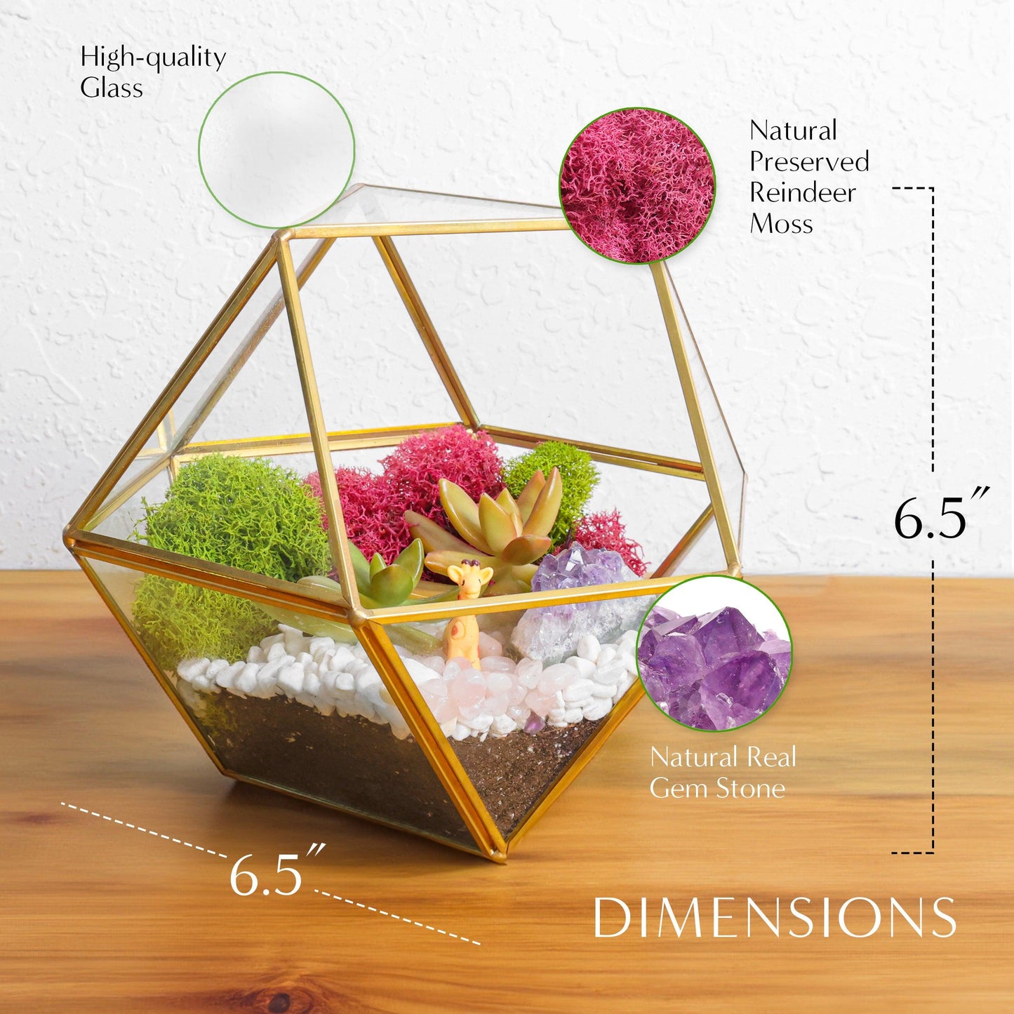 7” Geometric Gold Glass Succulent Terrarium Kit