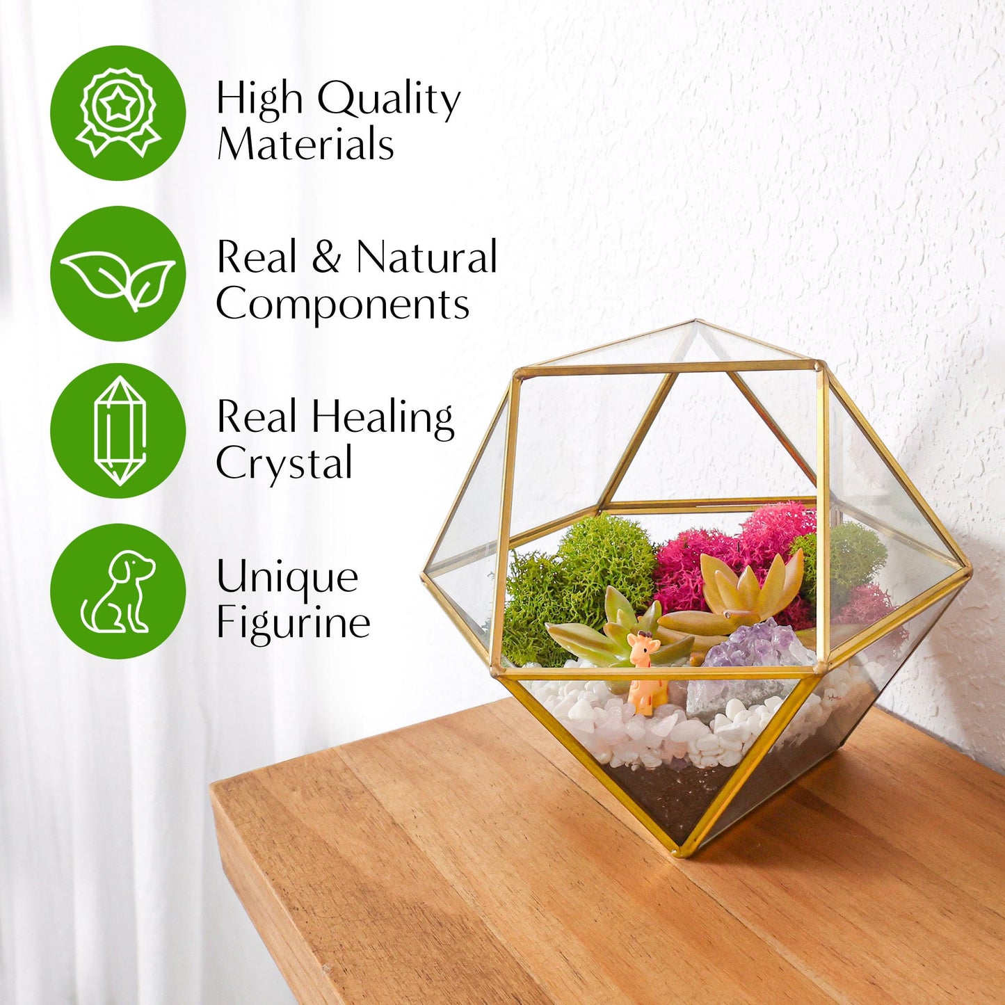 7” Geometric Gold Glass Succulent Terrarium Kit