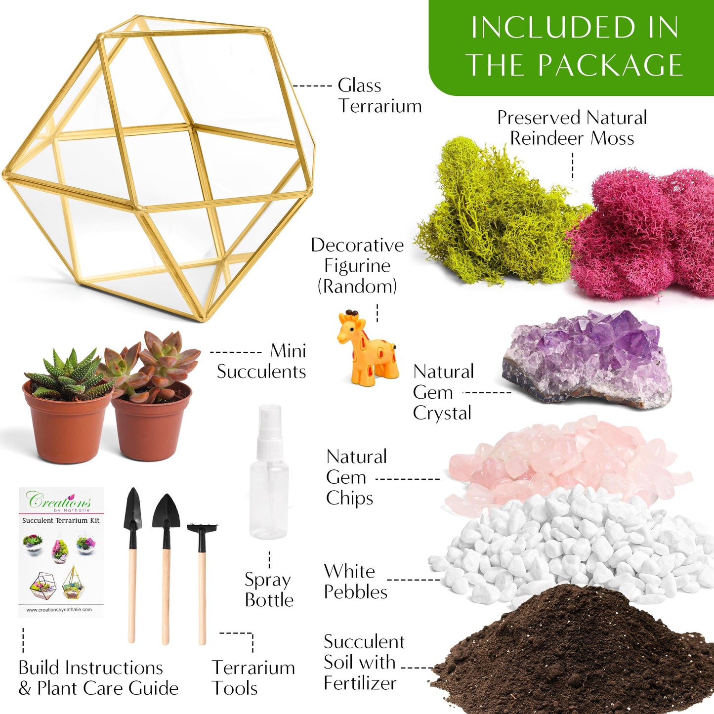 7” Geometric Gold Glass Succulent Terrarium Kit