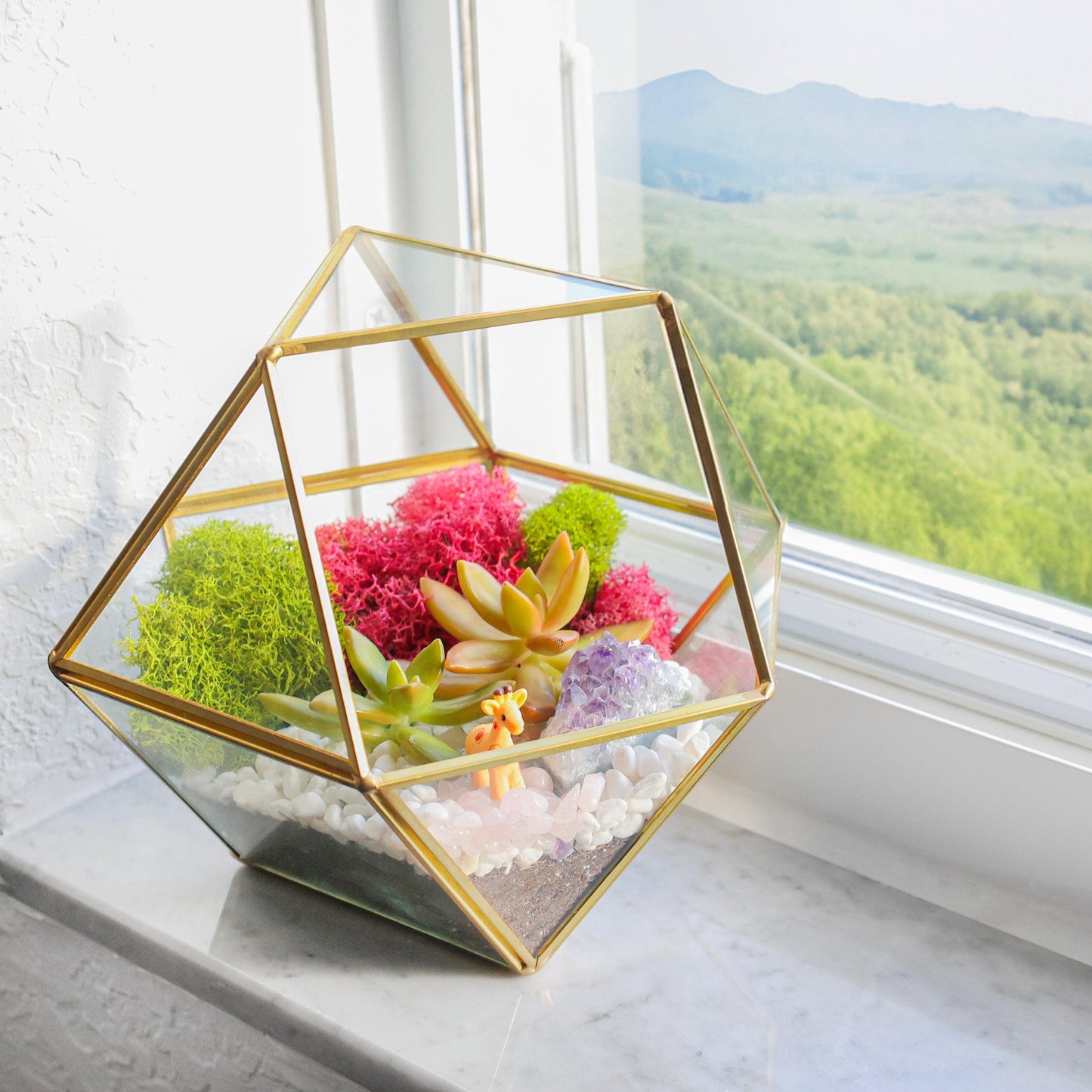 7” Geometric Gold Glass Succulent Terrarium Kit