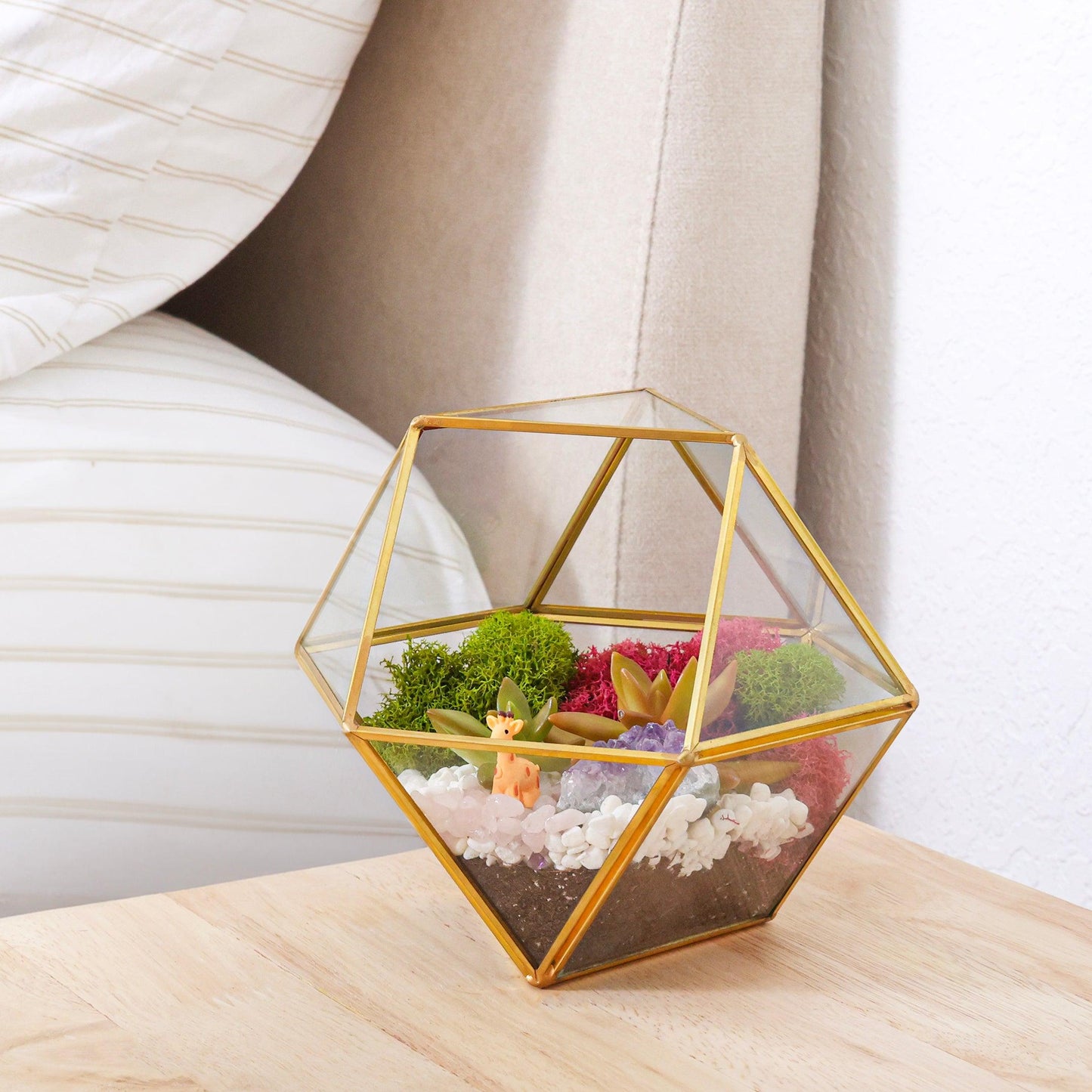 7” Geometric Gold Glass Succulent Terrarium Kit