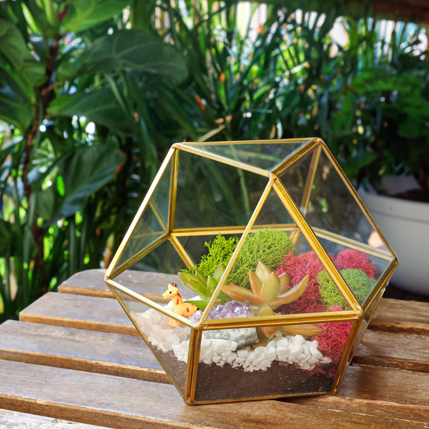 7” Geometric Gold Glass Succulent Terrarium Kit