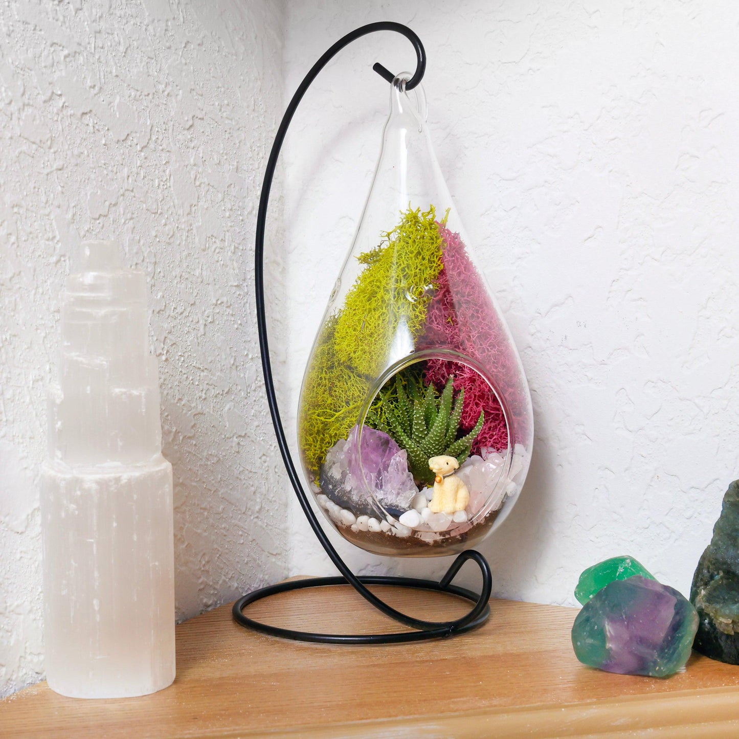 7" Glass Tear Drop Succulent Terrarium Kit