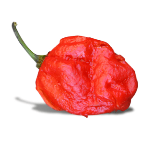 7 Pot Barrackpore Pepper Seeds