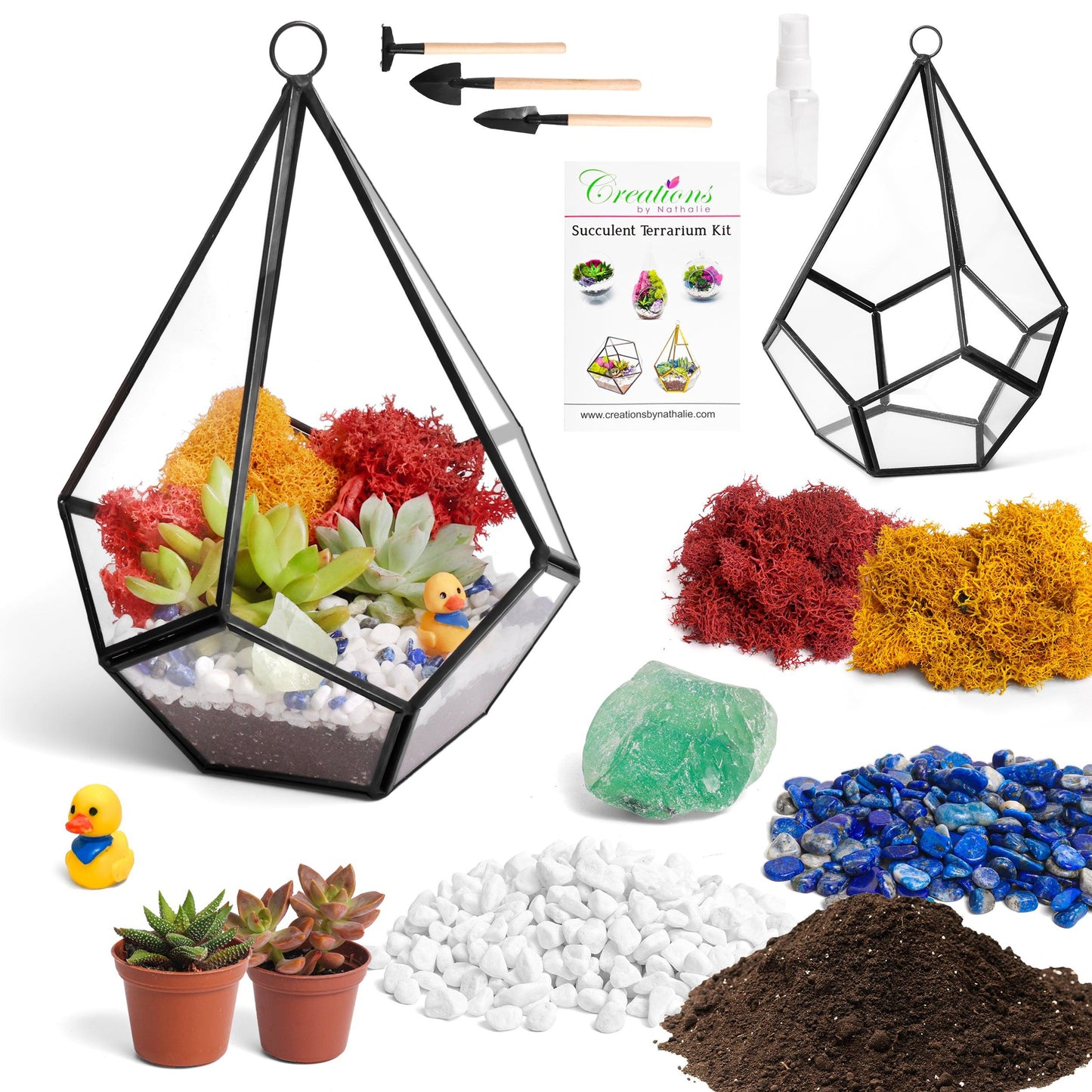 8” Geometric Black Tear Glass Succulent Terrarium Kit