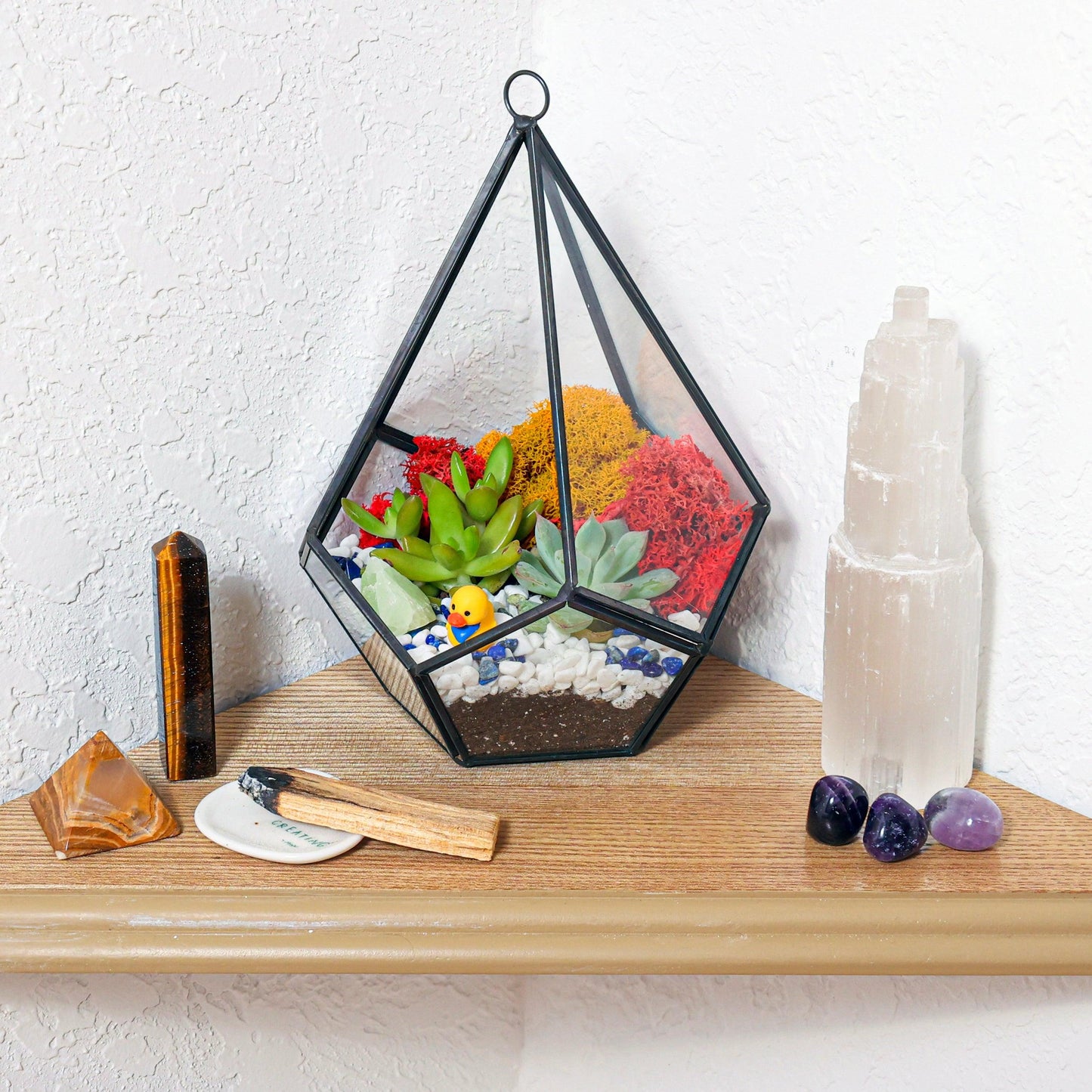 8” Geometric Black Tear Glass Succulent Terrarium Kit