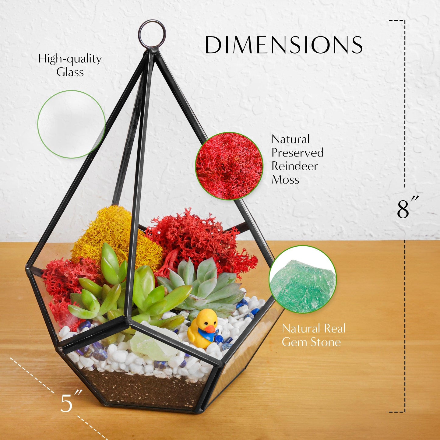 8” Geometric Black Tear Glass Succulent Terrarium Kit