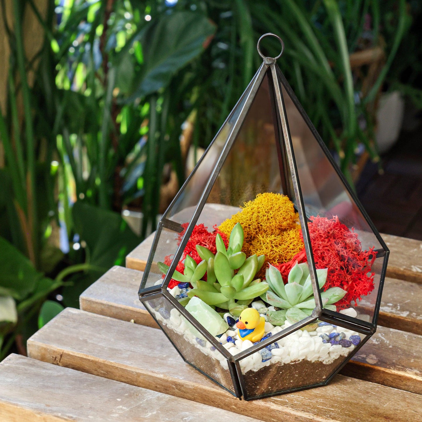 8” Geometric Black Tear Glass Succulent Terrarium Kit