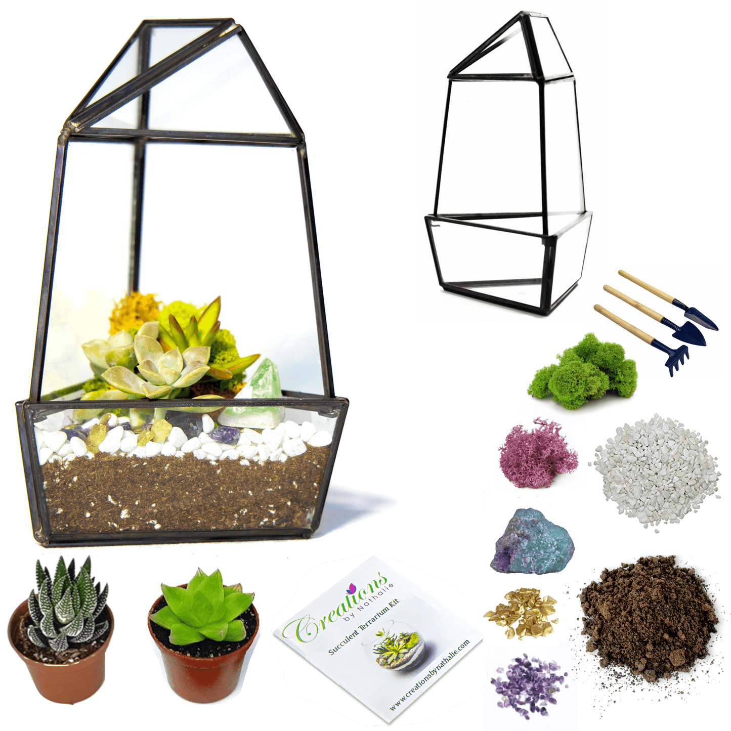 8” Geometric Glass Obelisk Succulent Terrarium Kit