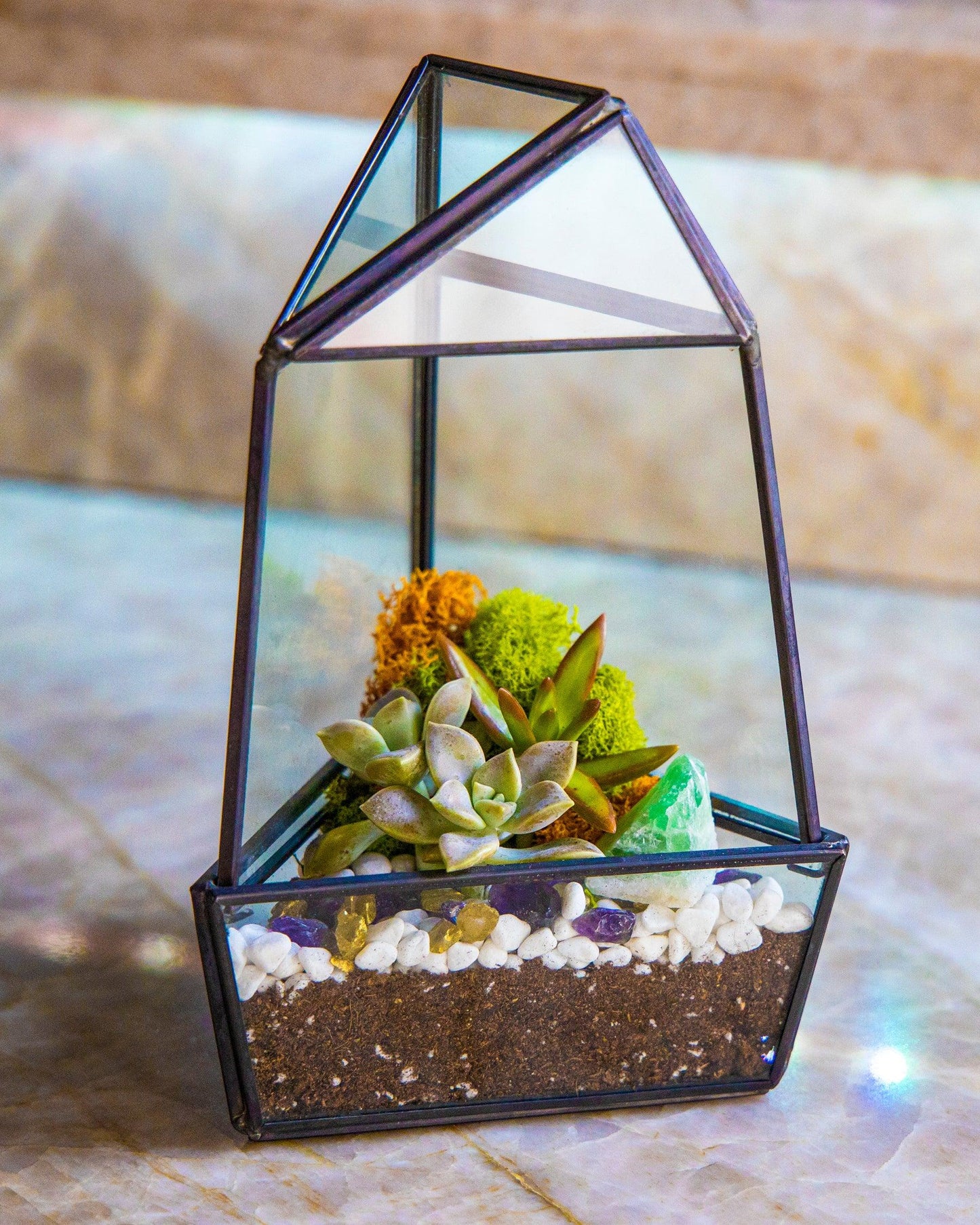 8” Geometric Glass Obelisk Succulent Terrarium Kit