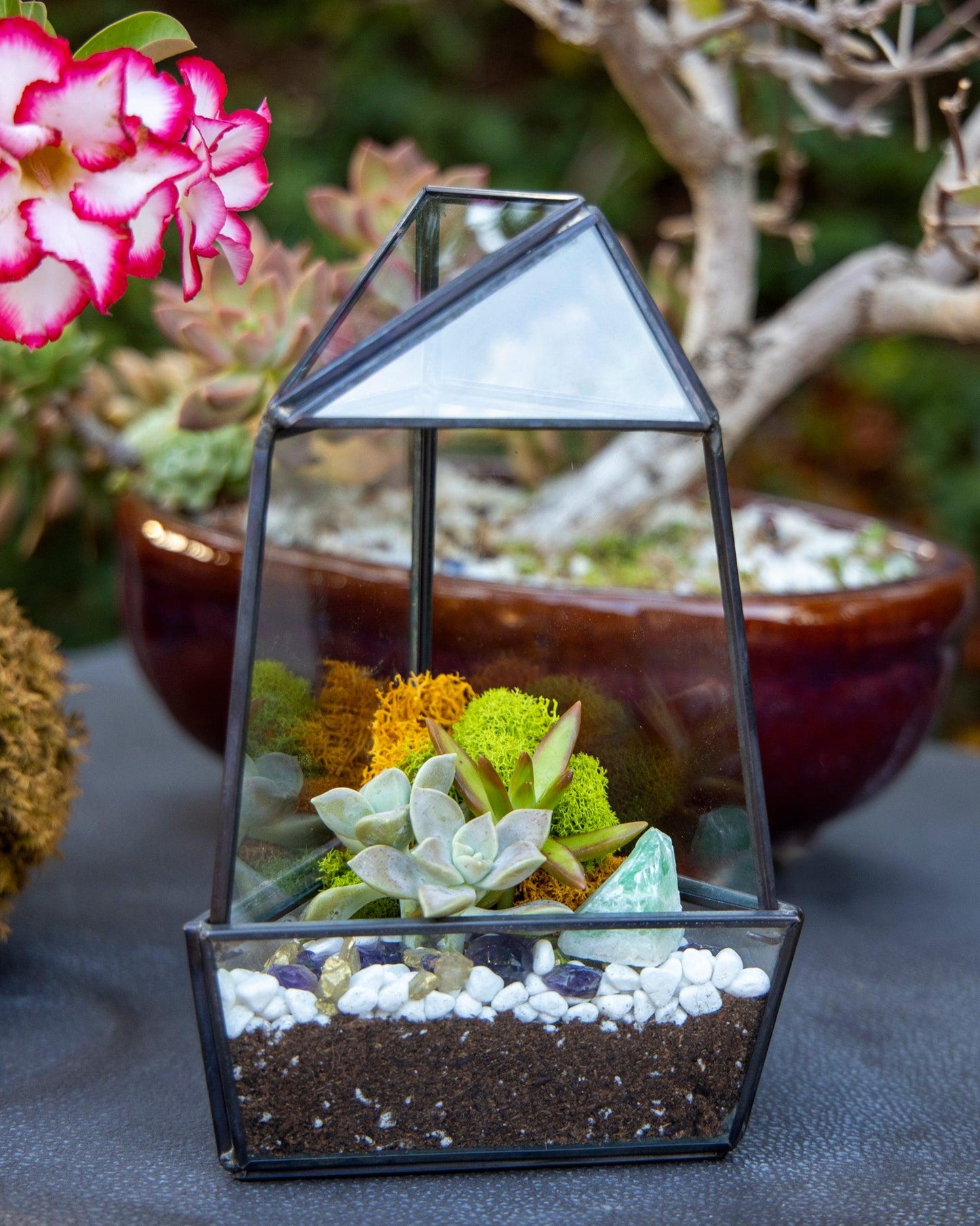 8” Geometric Glass Obelisk Succulent Terrarium Kit