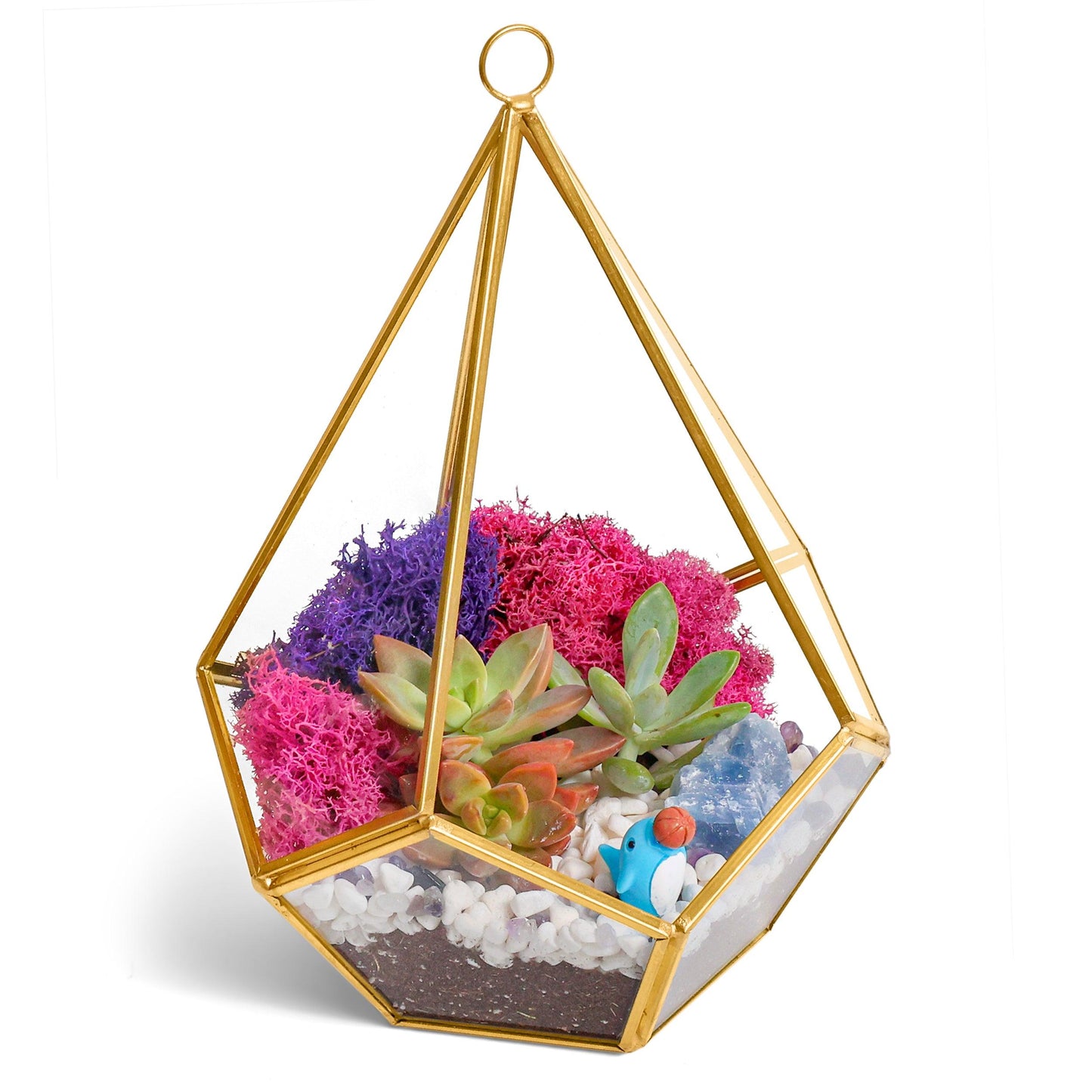 8” Geometric Gold Tear Glass Succulent Terrarium Kit