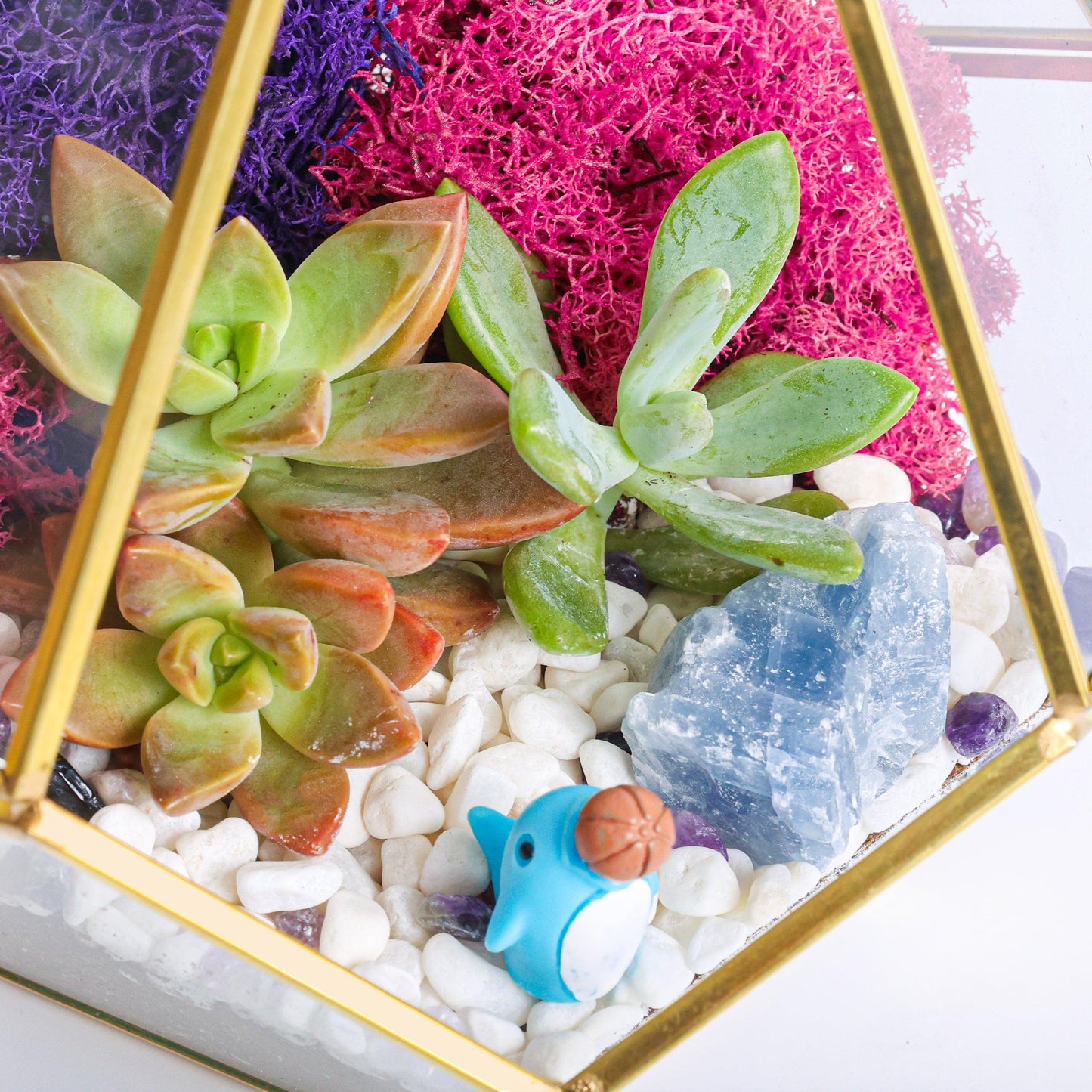 8” Geometric Gold Tear Glass Succulent Terrarium Kit