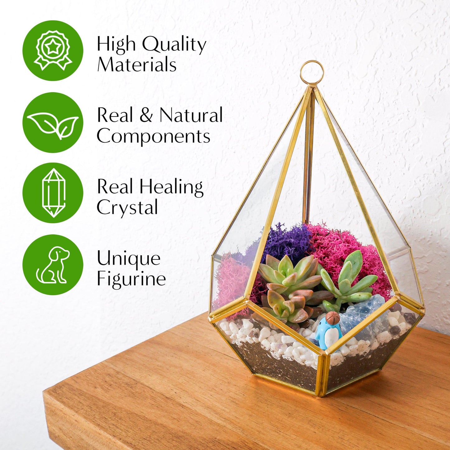 8” Geometric Gold Tear Glass Succulent Terrarium Kit