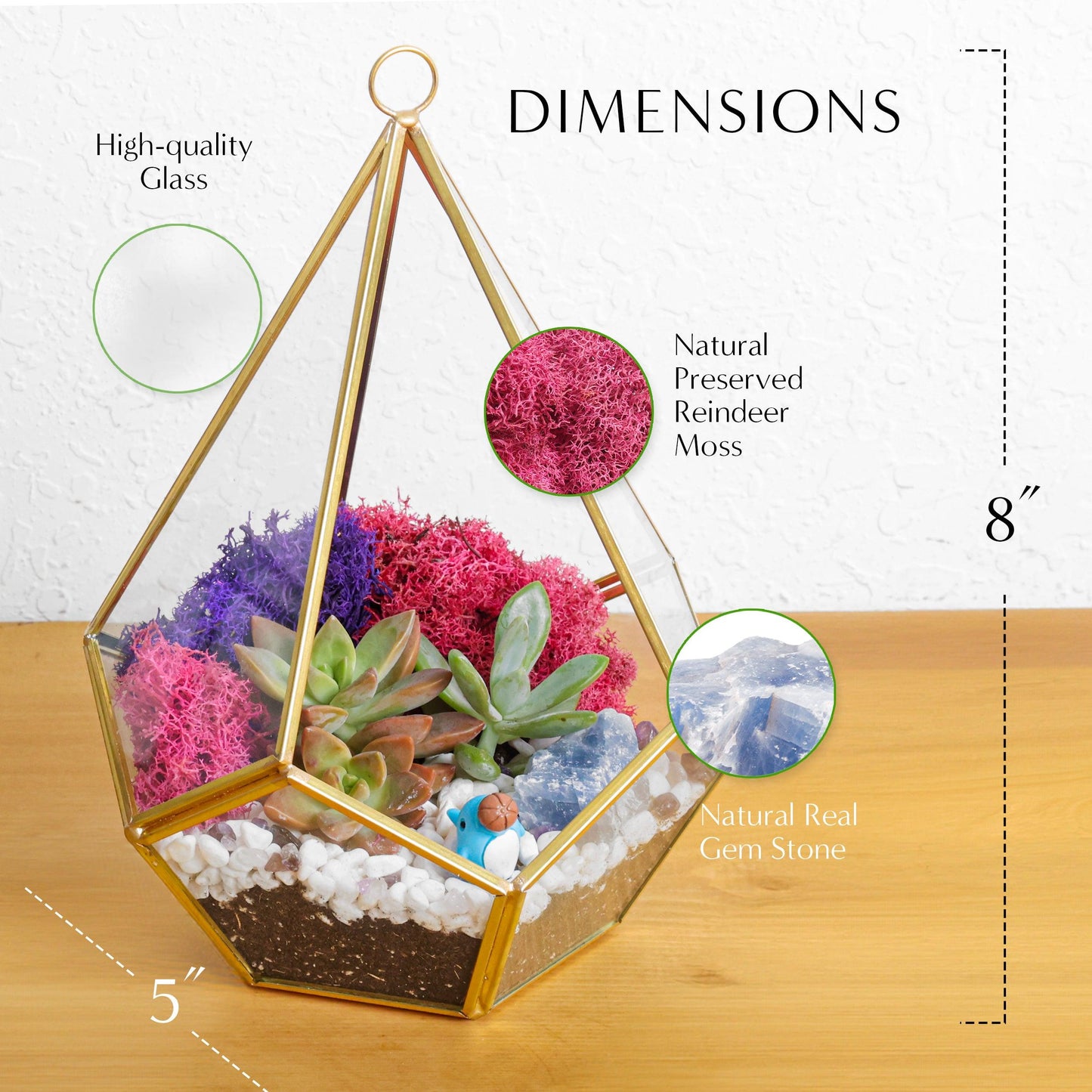 8” Geometric Gold Tear Glass Succulent Terrarium Kit